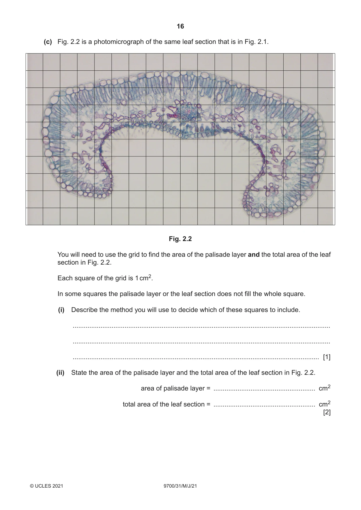 Cambridge A Level Biology 9700 2021 May/June Paper 3 · Variant 1 question paper, page 16 of 20