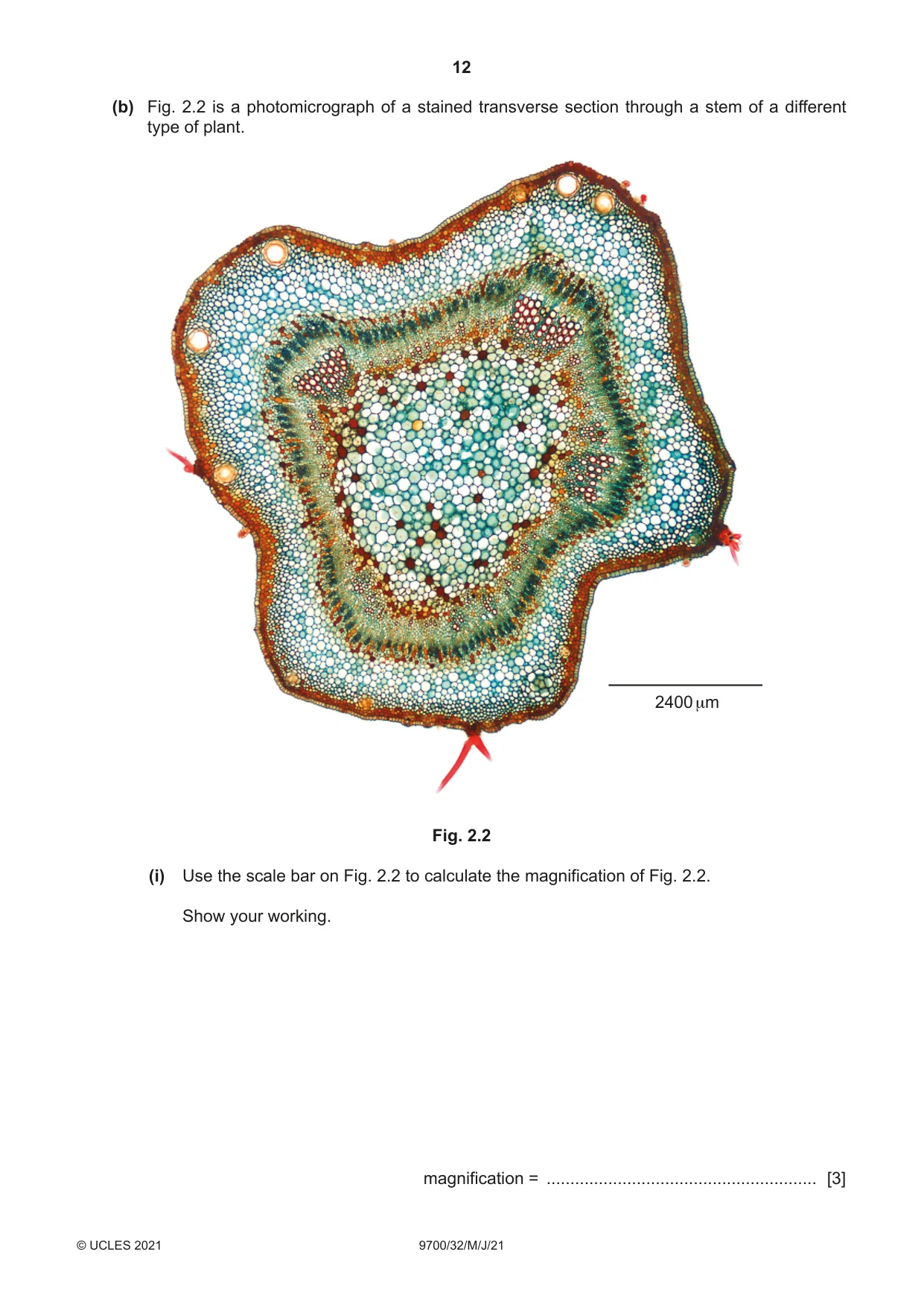 Cambridge A Level Biology 9700 2021 May/June Paper 3 · Variant 2 question paper, page 12 of 16