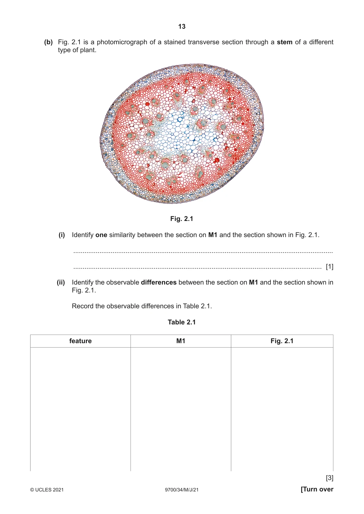Cambridge A Level Biology 9700 2021 May/June Paper 3 · Variant 4 question paper, page 13 of 16