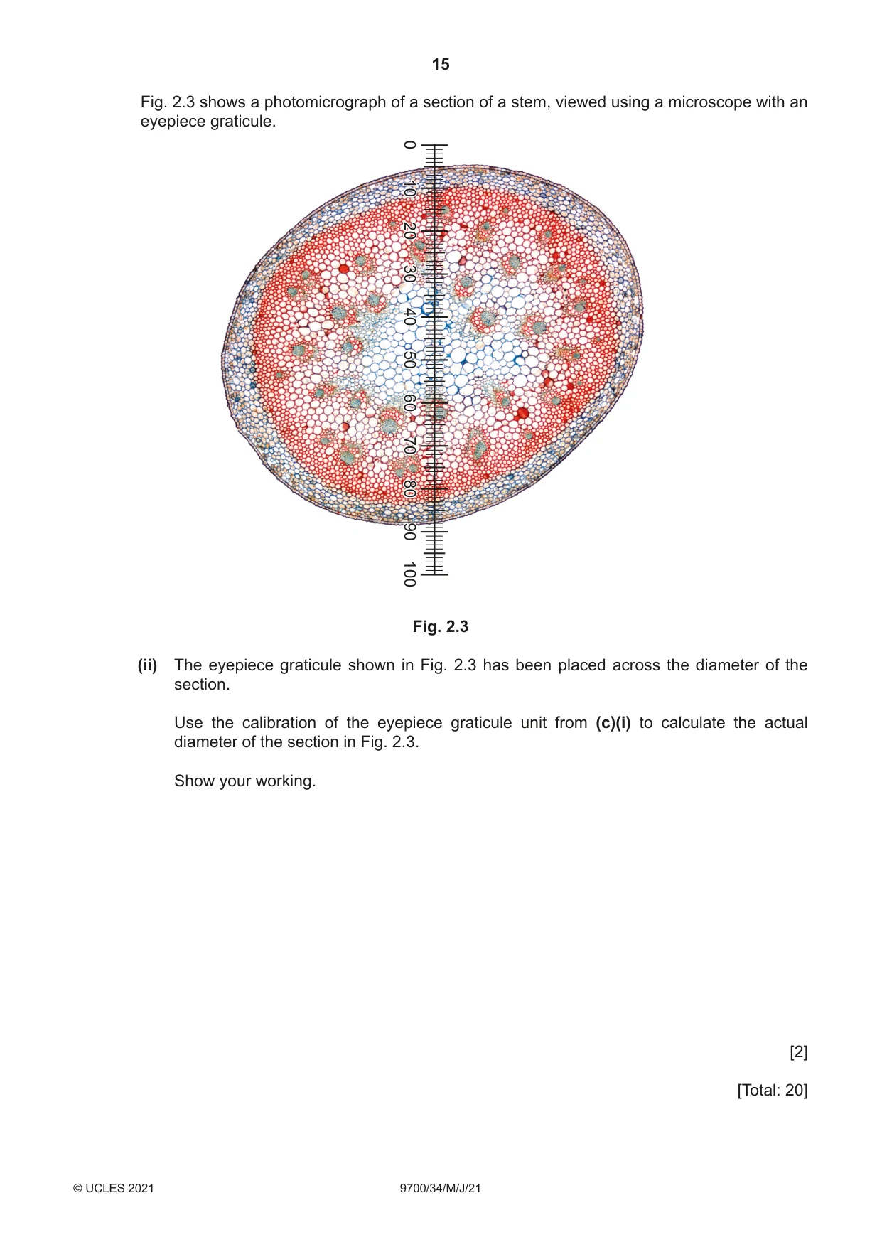 Cambridge A Level Biology 9700 2021 May/June Paper 3 · Variant 4 question paper, page 15 of 16