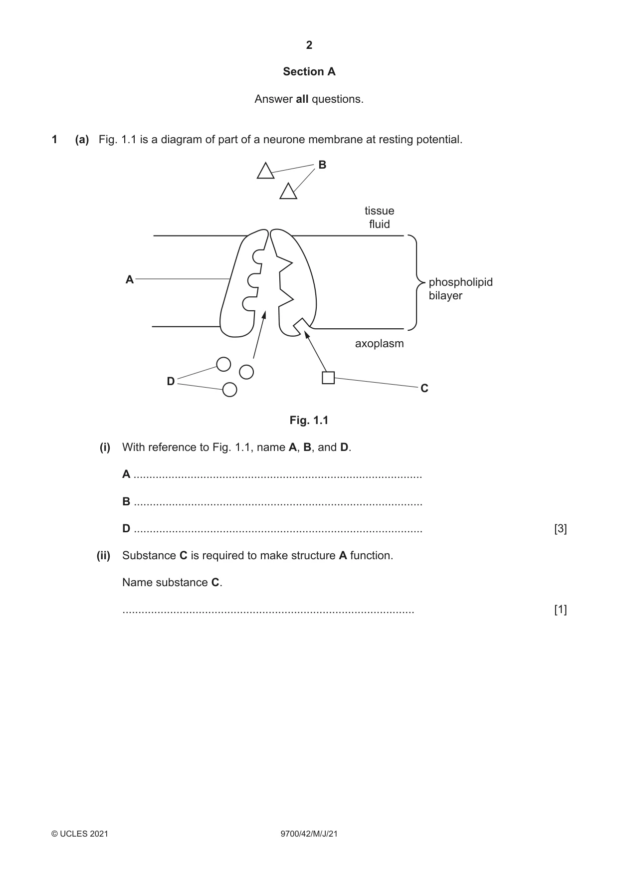 Cambridge A Level Biology 9700 2021 May/June Paper 4 · Variant 2 question paper, page 2 of 24