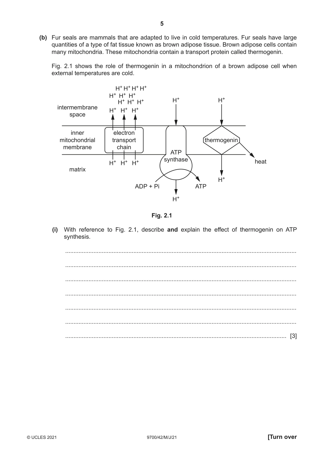 Cambridge A Level Biology 9700 2021 May/June Paper 4 · Variant 2 question paper, page 5 of 24
