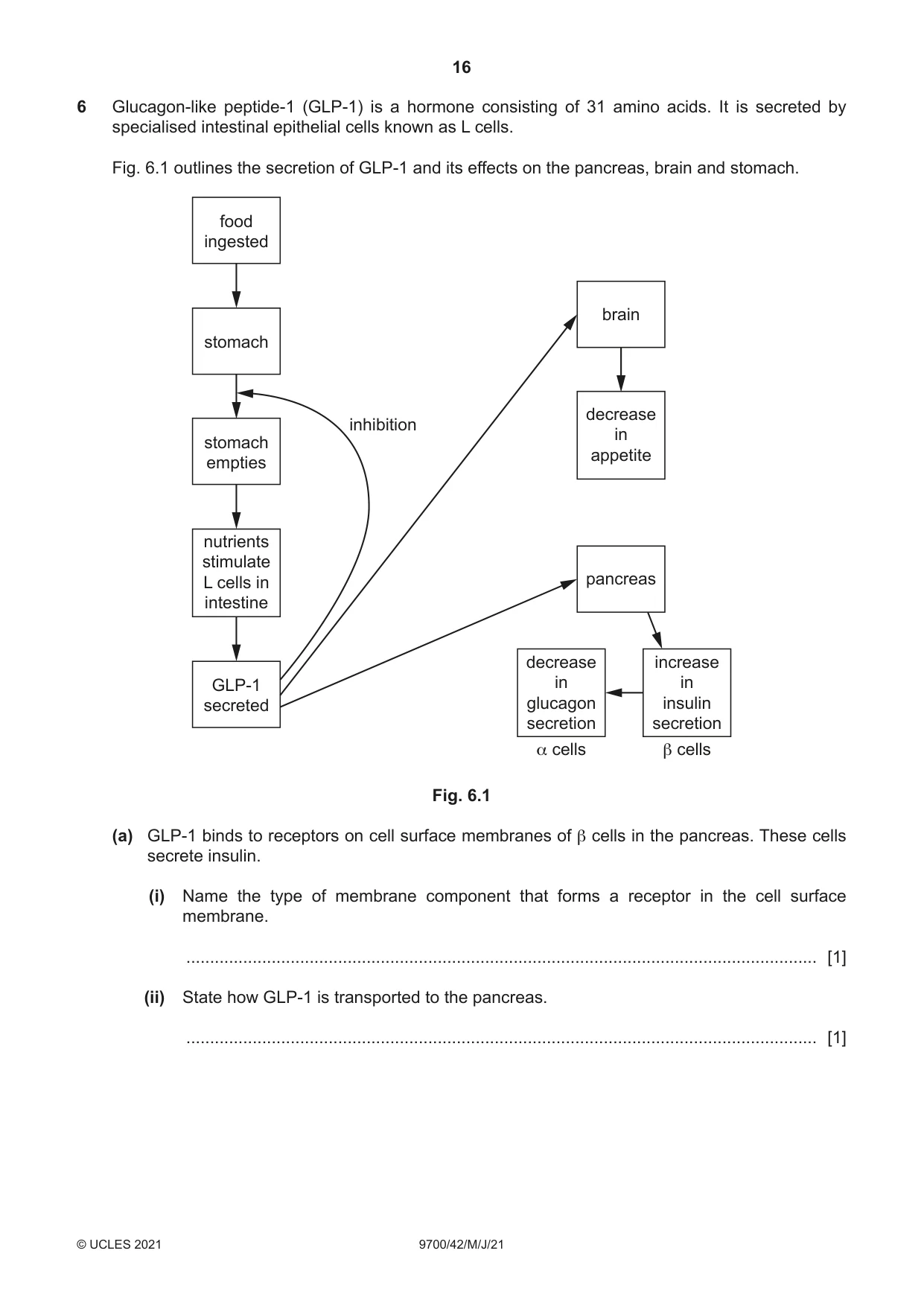 Cambridge A Level Biology 9700 2021 May/June Paper 4 · Variant 2 question paper, page 16 of 24