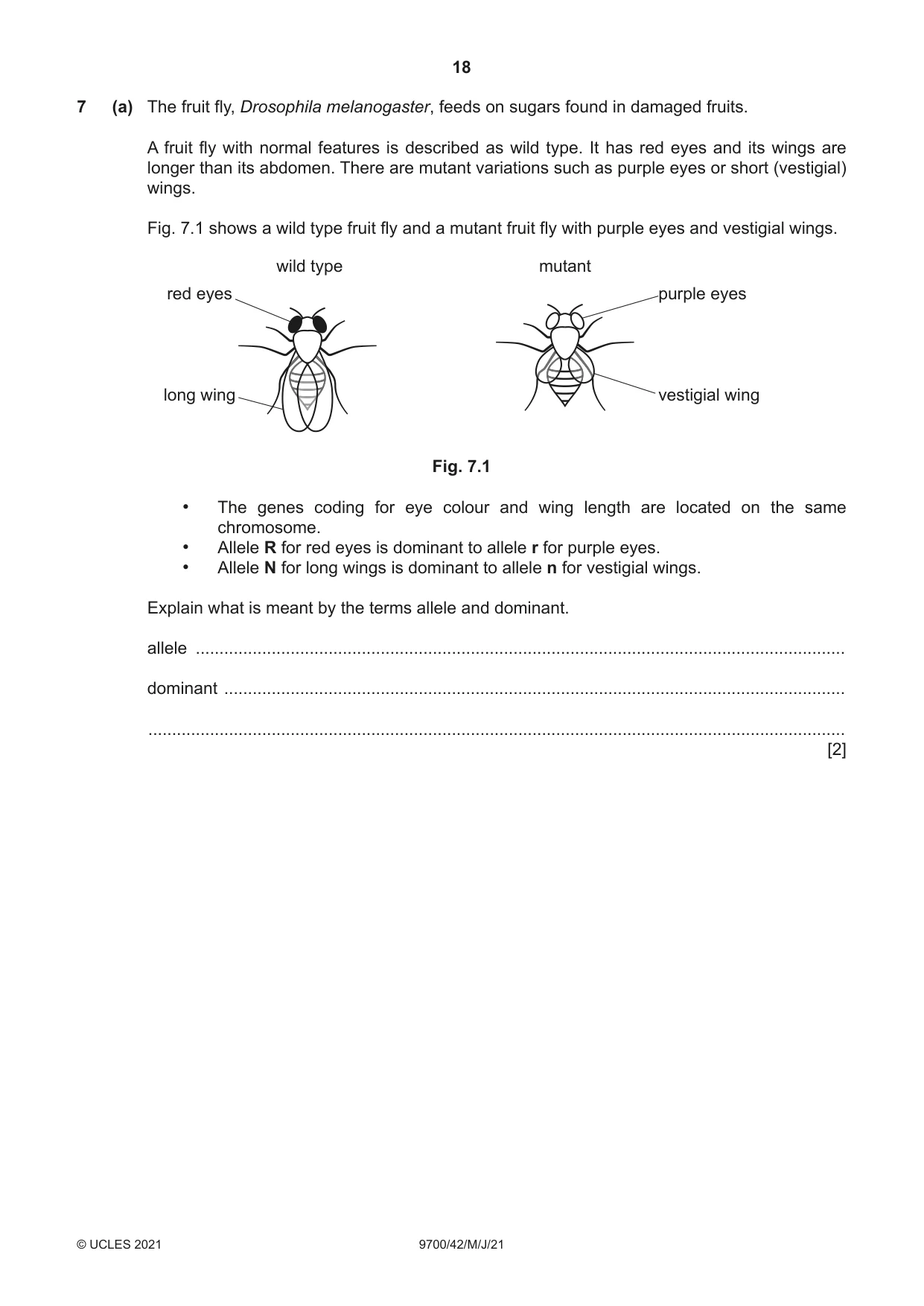 Cambridge A Level Biology 9700 2021 May/June Paper 4 · Variant 2 question paper, page 18 of 24