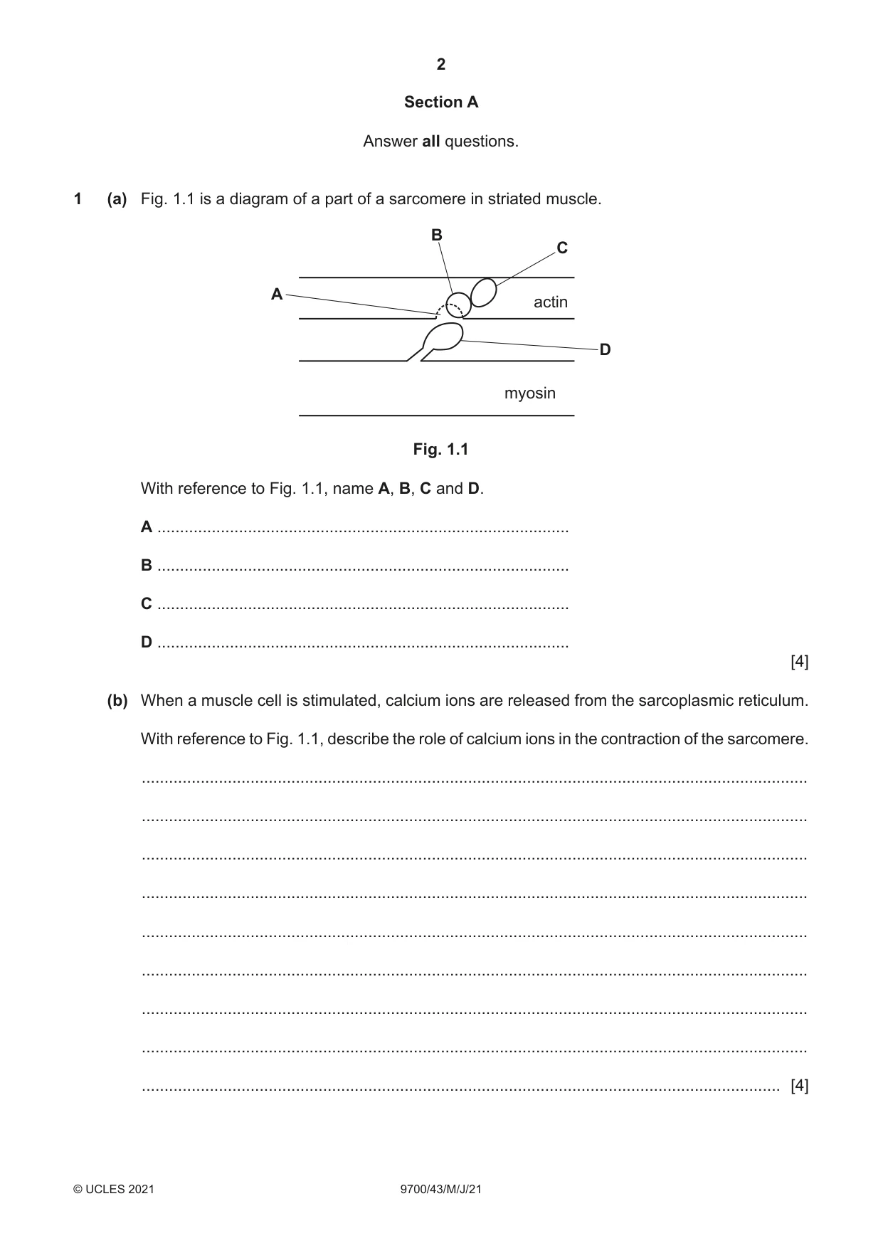 Cambridge A Level Biology 9700 2021 May/June Paper 4 · Variant 3 question paper, page 2 of 24