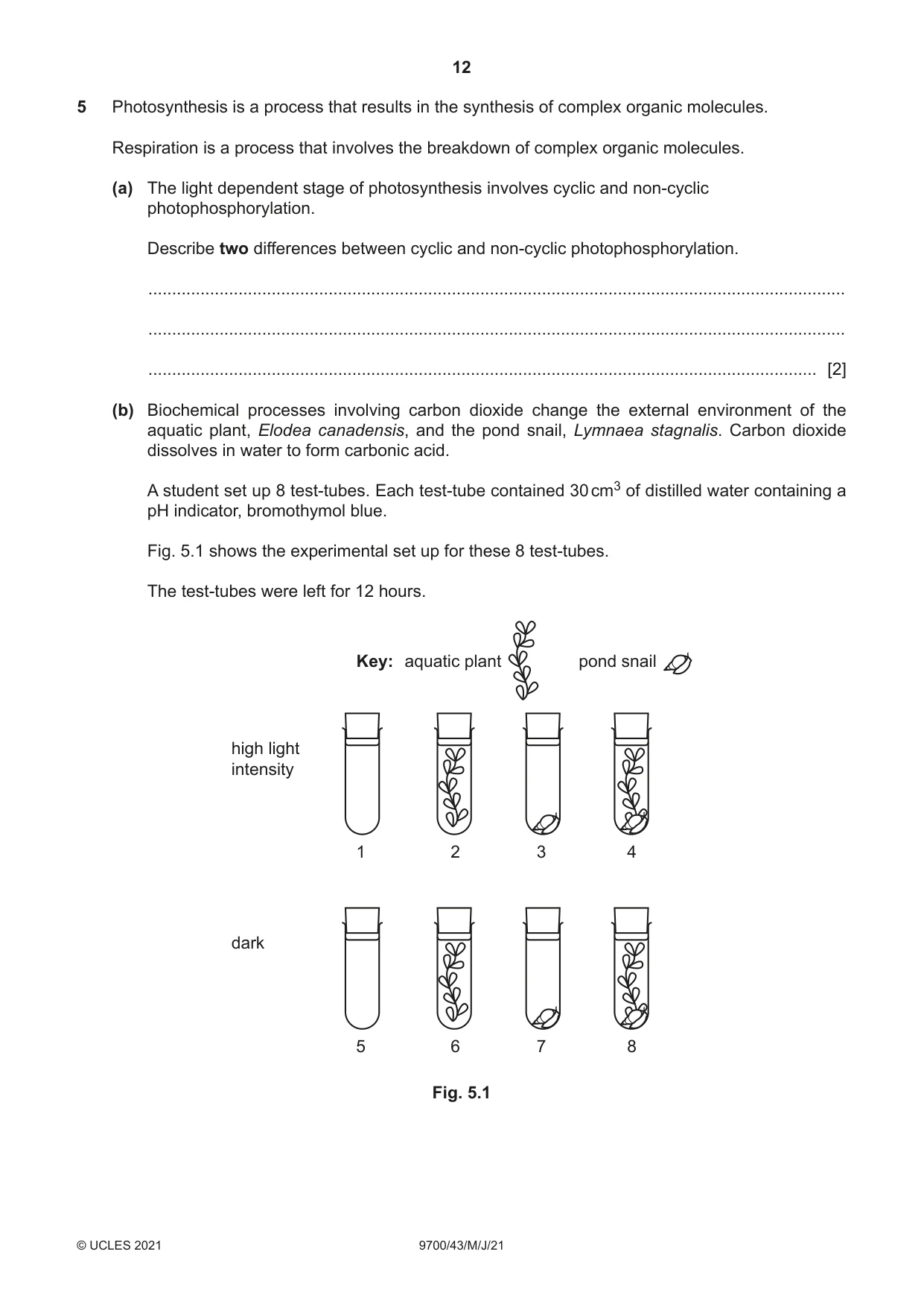 Cambridge A Level Biology 9700 2021 May/June Paper 4 · Variant 3 question paper, page 12 of 24