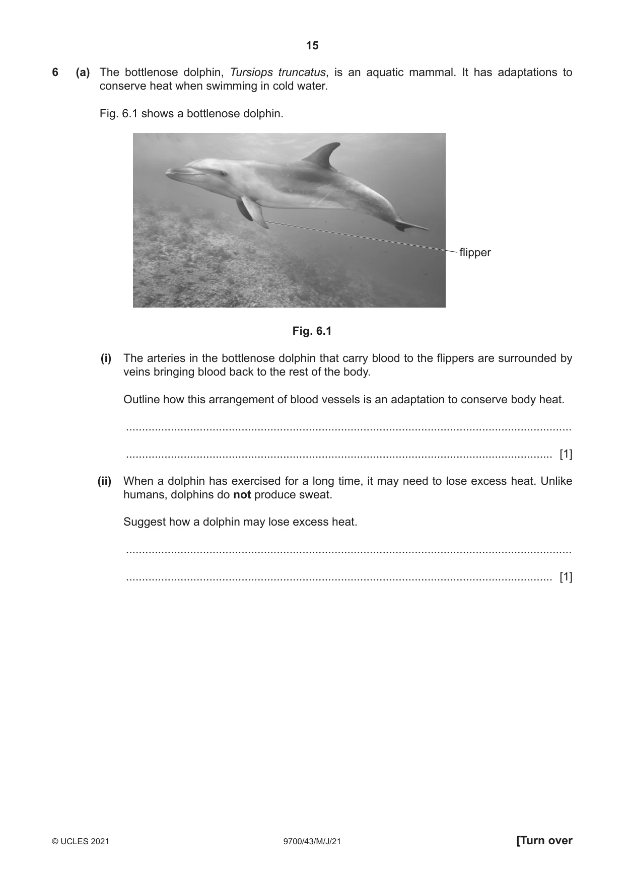 Cambridge A Level Biology 9700 2021 May/June Paper 4 · Variant 3 question paper, page 15 of 24