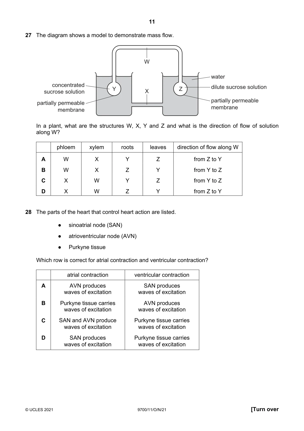 Cambridge A Level Biology 9700 2021 Oct/Nov Paper 1 · Variant 1 question paper, page 11 of 16