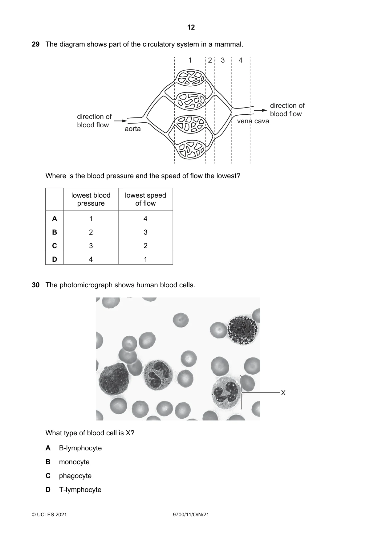 Cambridge A Level Biology 9700 2021 Oct/Nov Paper 1 · Variant 1 question paper, page 12 of 16
