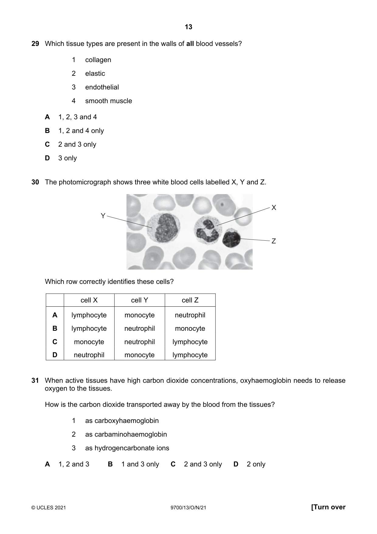 Cambridge A Level Biology 9700 2021 Oct/Nov Paper 1 · Variant 3 question paper, page 13 of 20