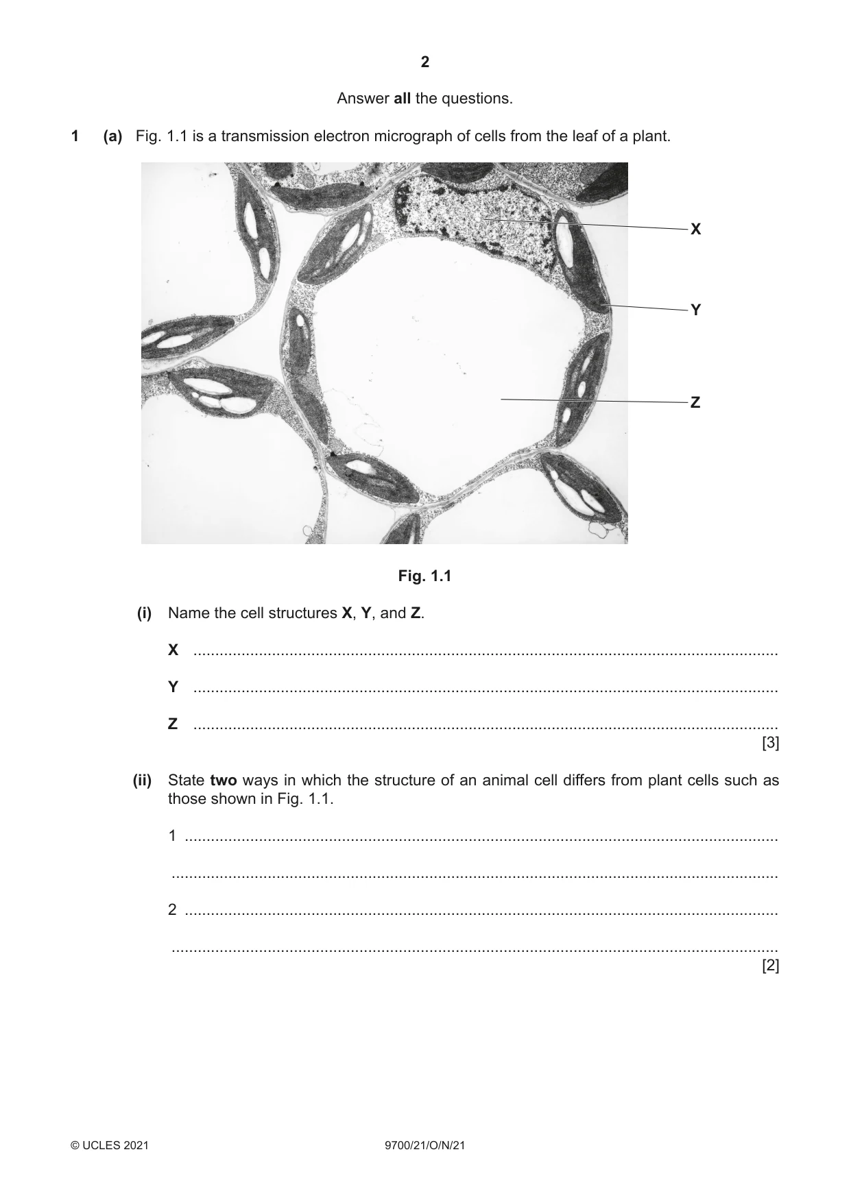 Cambridge A Level Biology 9700 2021 Oct/Nov Paper 2 · Variant 1 question paper, page 2 of 16