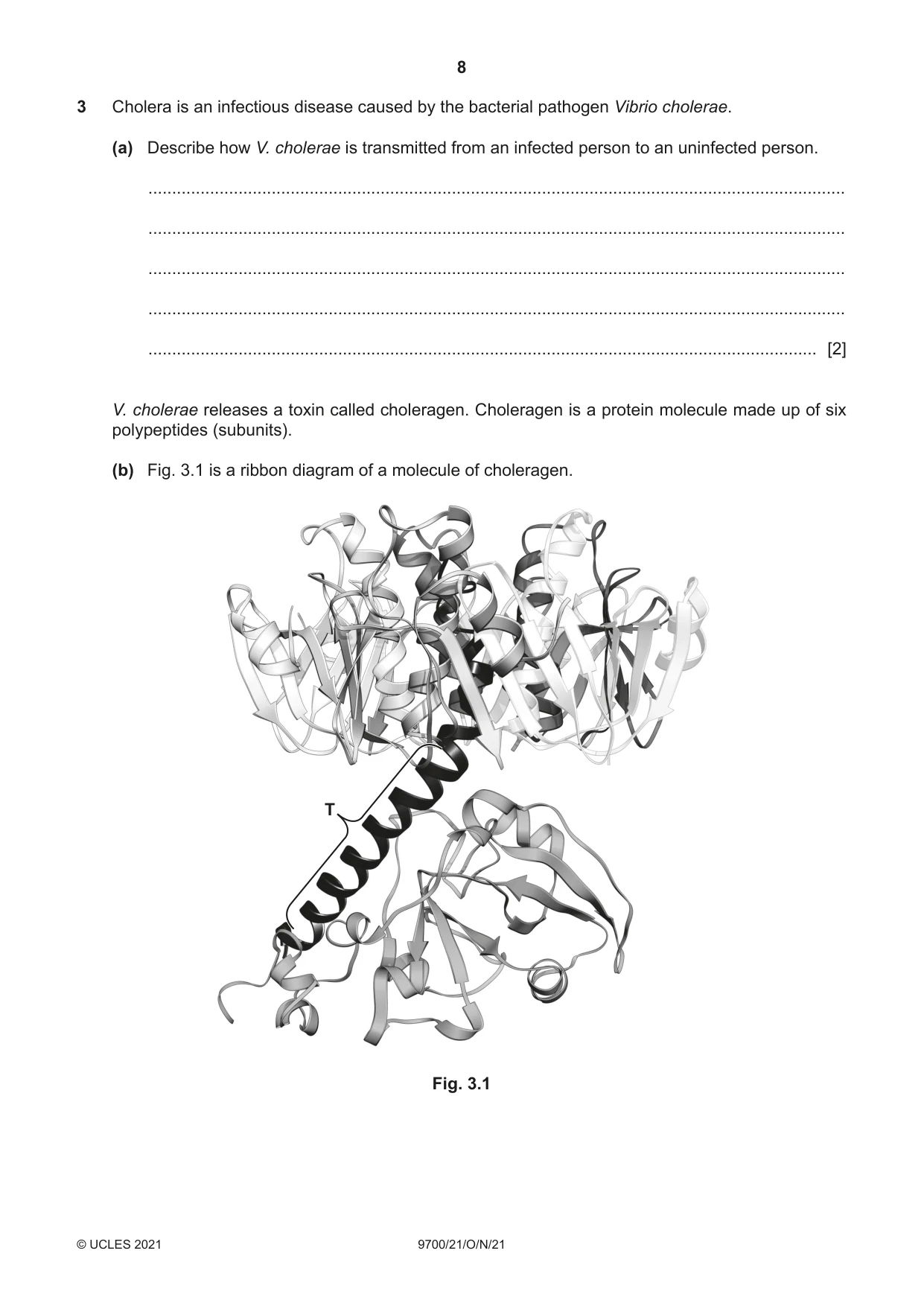Cambridge A Level Biology 9700 2021 Oct/Nov Paper 2 · Variant 1 question paper, page 8 of 16