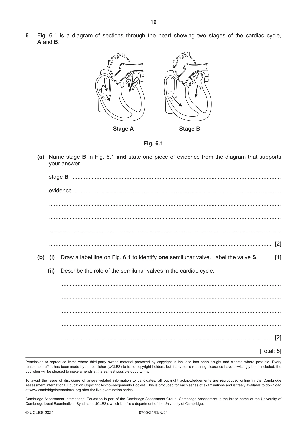 Cambridge A Level Biology 9700 2021 Oct/Nov Paper 2 · Variant 1 question paper, page 16 of 16