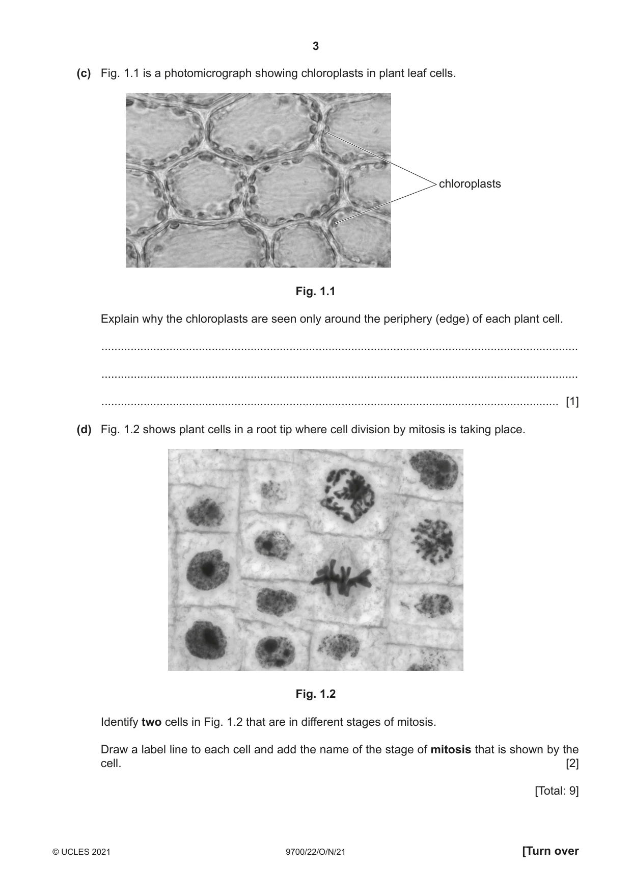 Cambridge A Level Biology 9700 2021 Oct/Nov Paper 2 · Variant 2 question paper, page 3 of 16