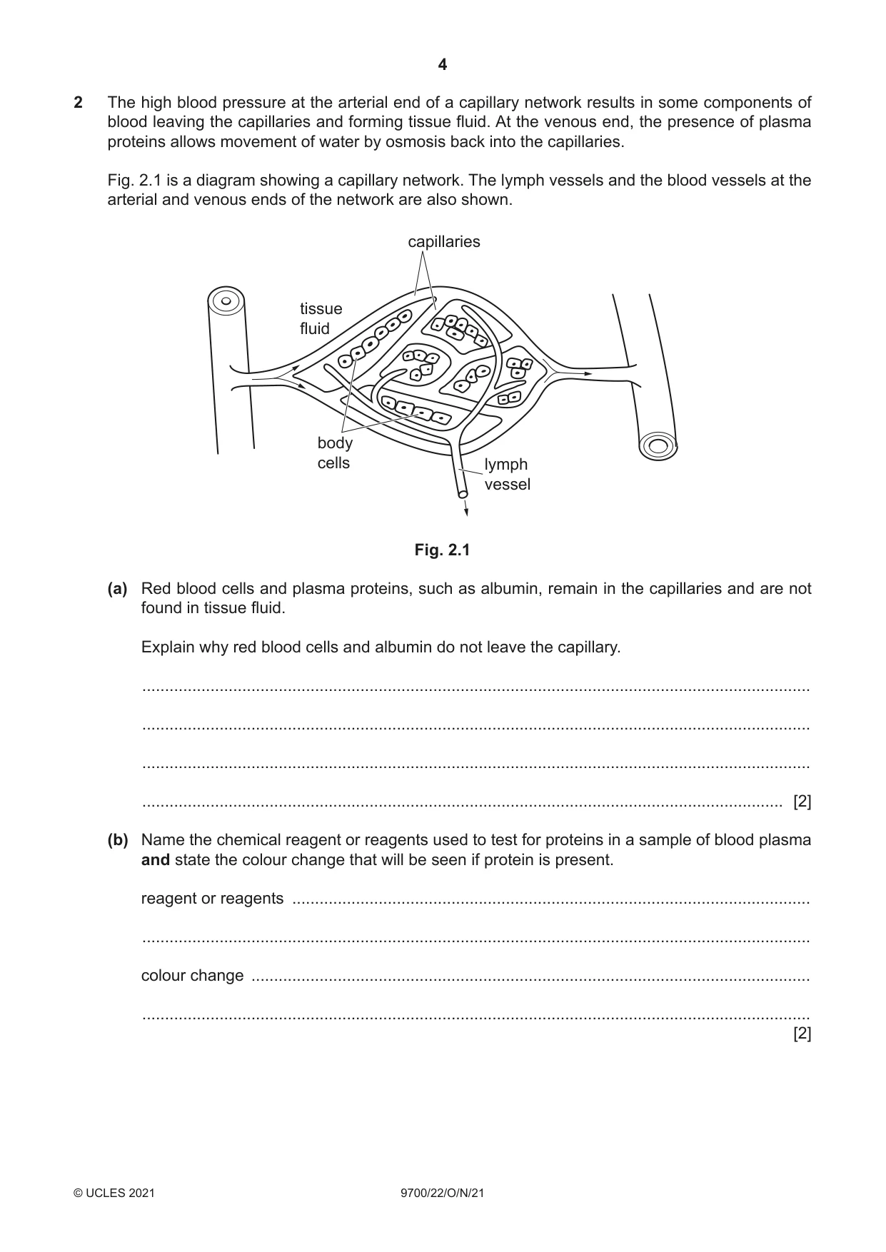 Cambridge A Level Biology 9700 2021 Oct/Nov Paper 2 · Variant 2 question paper, page 4 of 16