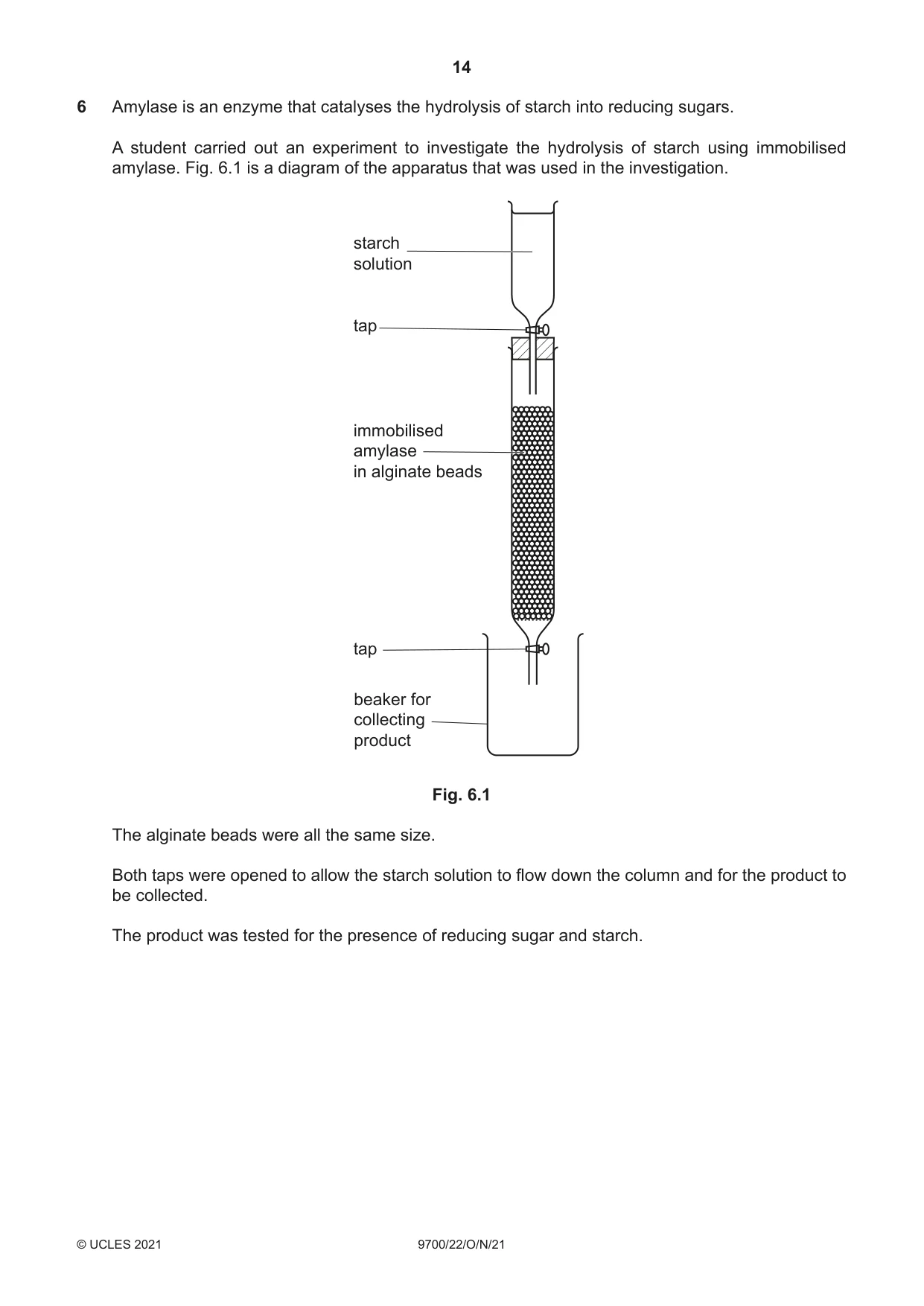 Cambridge A Level Biology 9700 2021 Oct/Nov Paper 2 · Variant 2 question paper, page 14 of 16