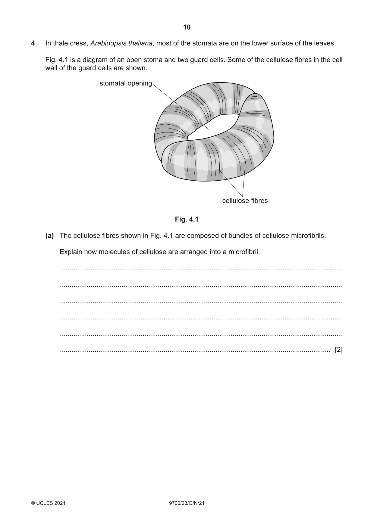 Cambridge A Level Biology 9700 2021 Oct/Nov Paper 2 · Variant 3 question paper, page 10 of 16