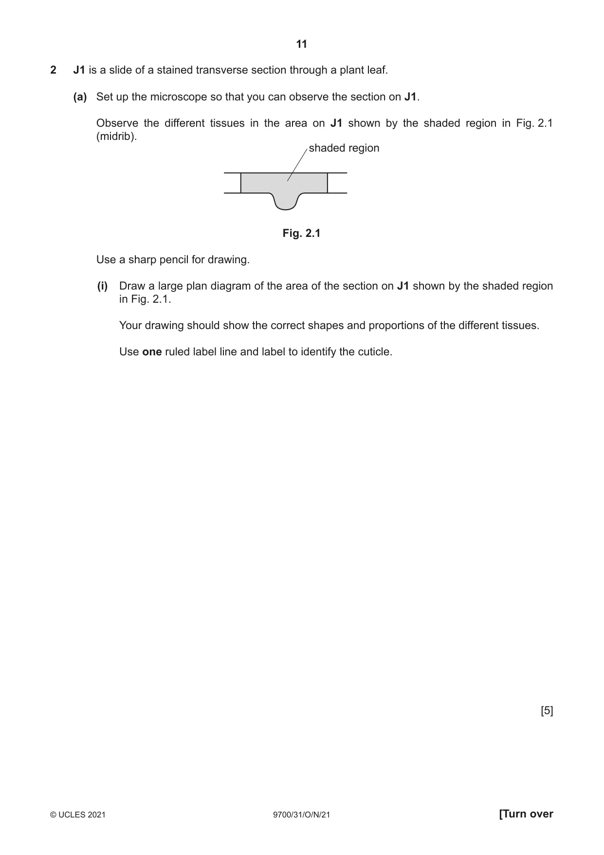 Cambridge A Level Biology 9700 2021 Oct/Nov Paper 3 · Variant 1 question paper, page 11 of 16