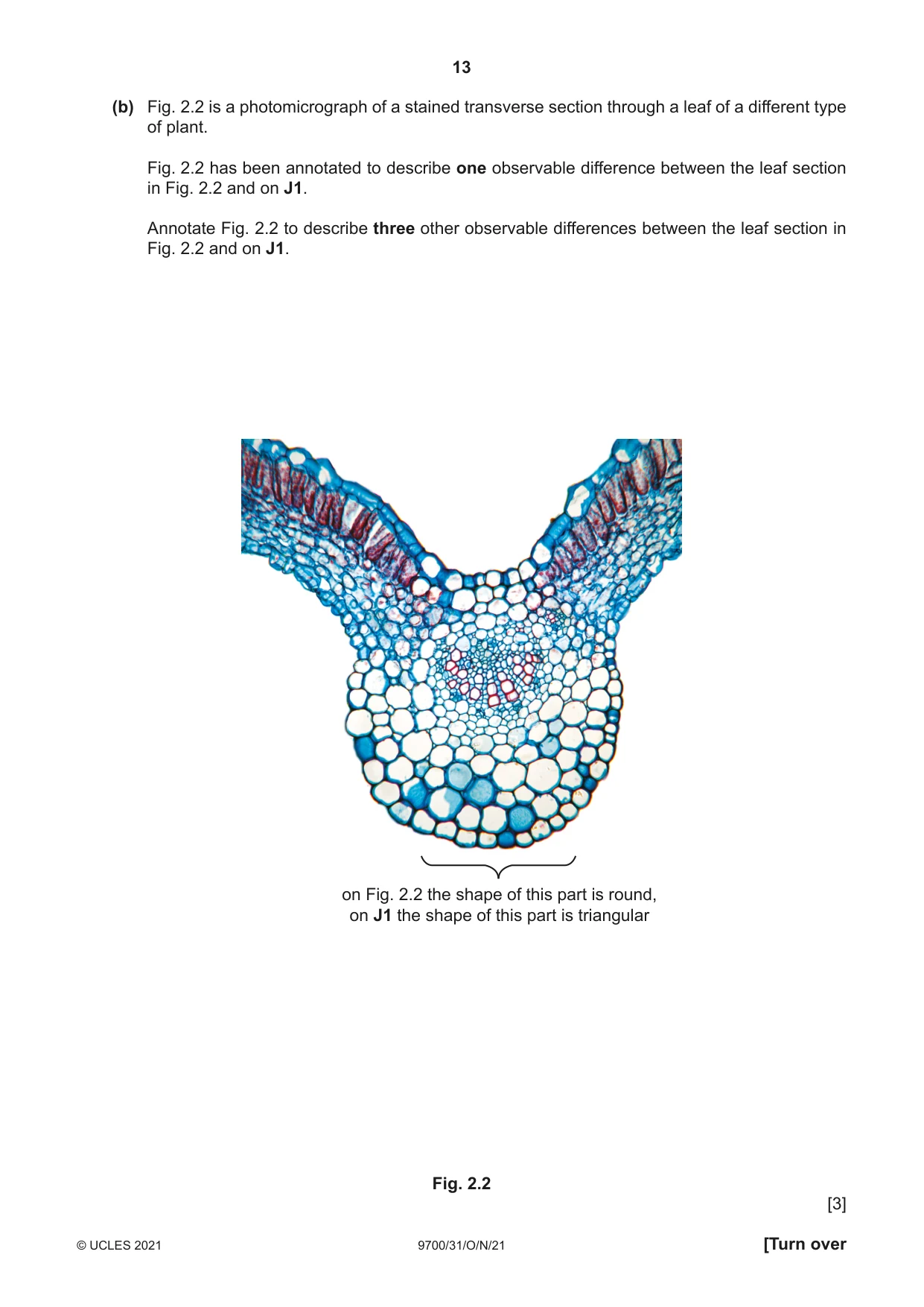 Cambridge A Level Biology 9700 2021 Oct/Nov Paper 3 · Variant 1 question paper, page 13 of 16