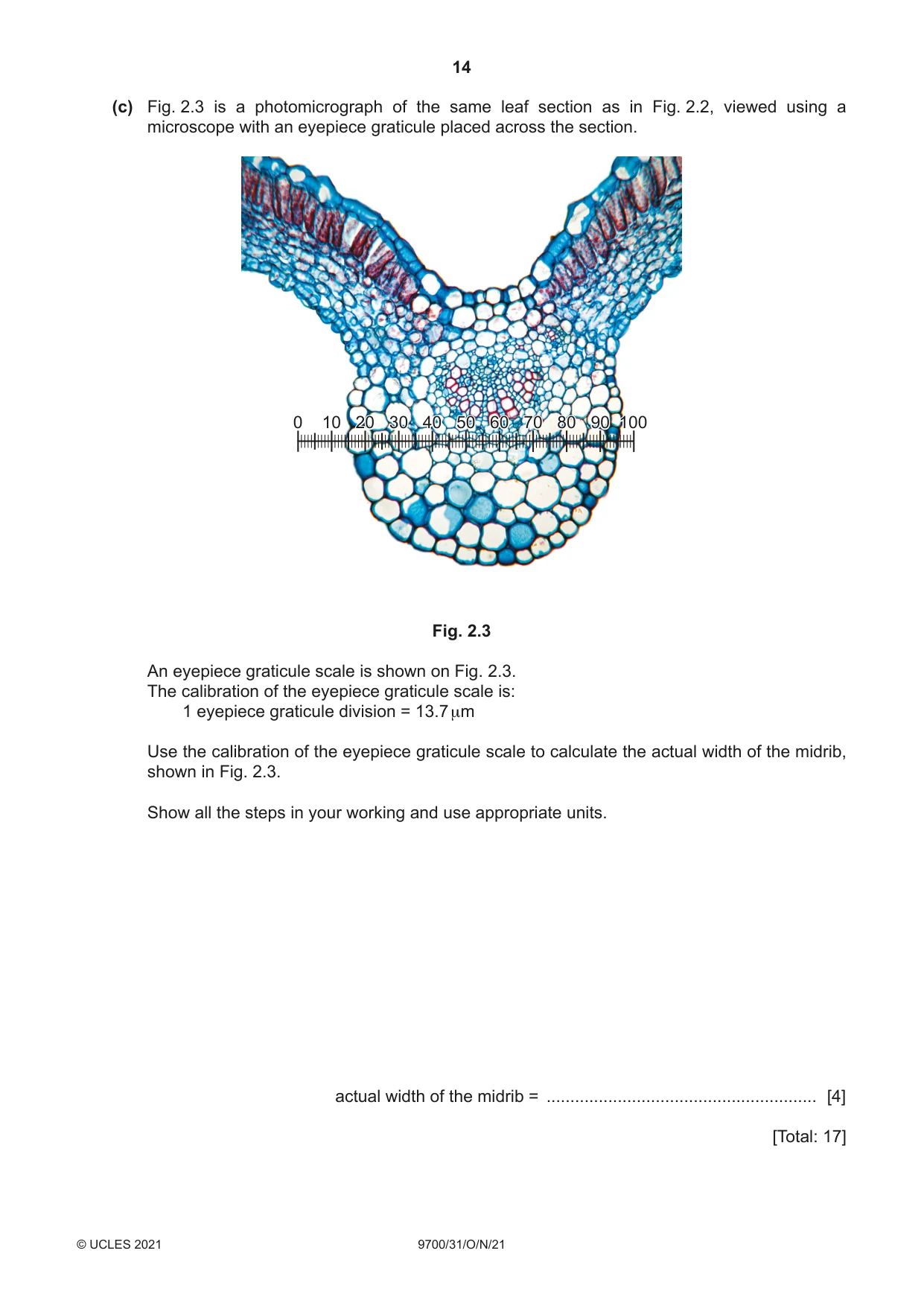 Cambridge A Level Biology 9700 2021 Oct/Nov Paper 3 · Variant 1 question paper, page 14 of 16