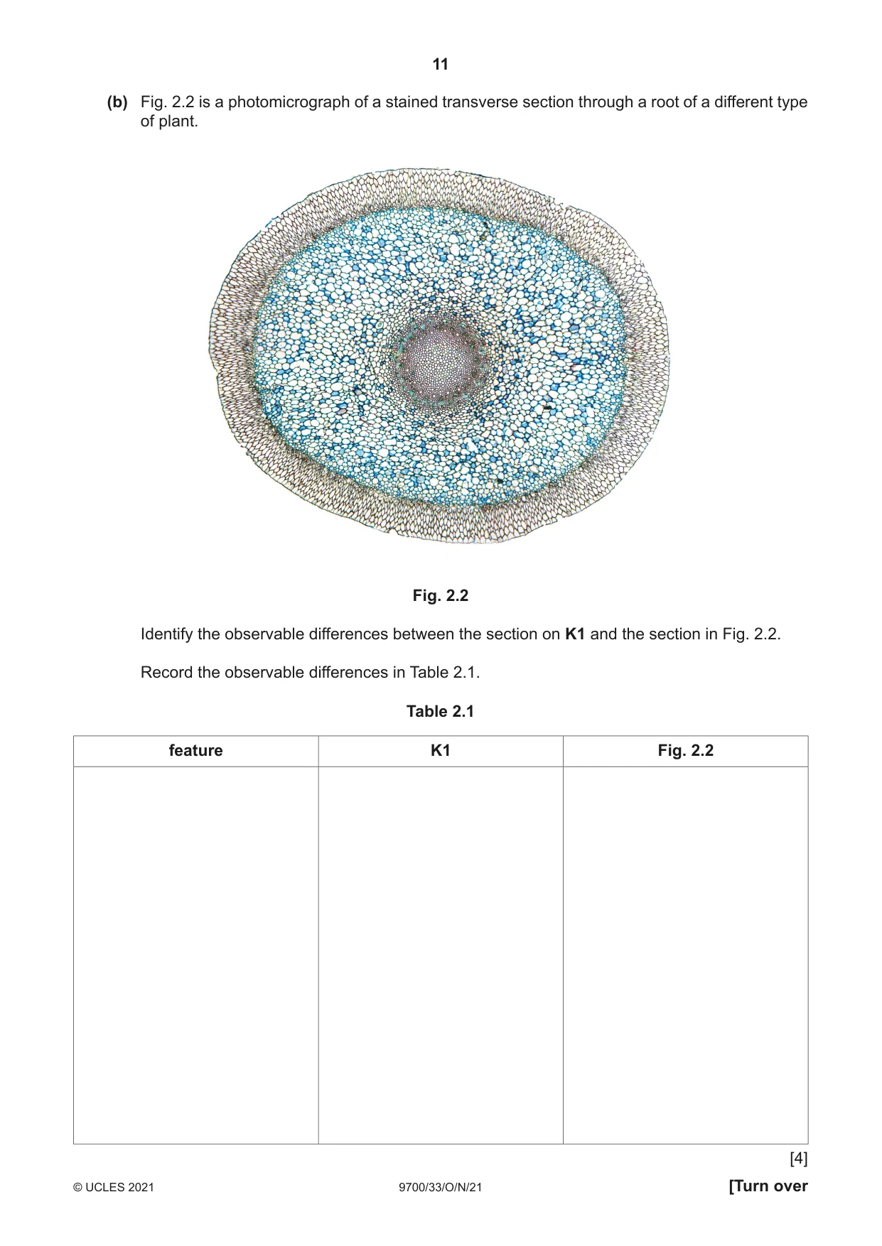 Cambridge A Level Biology 9700 2021 Oct/Nov Paper 3 · Variant 3 question paper, page 11 of 12
