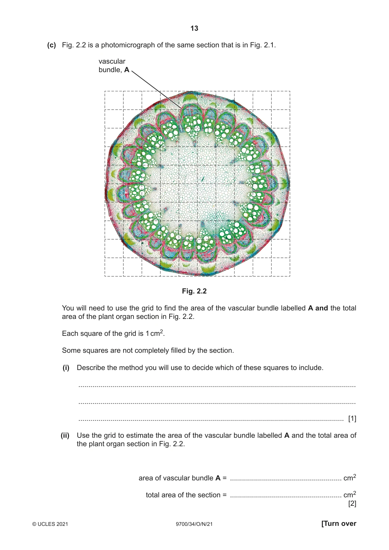 Cambridge A Level Biology 9700 2021 Oct/Nov Paper 3 · Variant 4 question paper, page 13 of 16