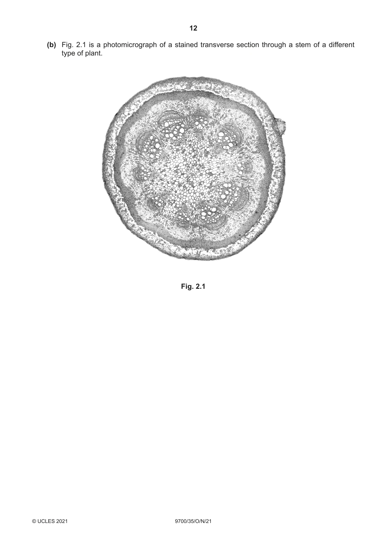 Cambridge A Level Biology 9700 2021 Oct/Nov Paper 3 · Variant 5 question paper, page 12 of 16