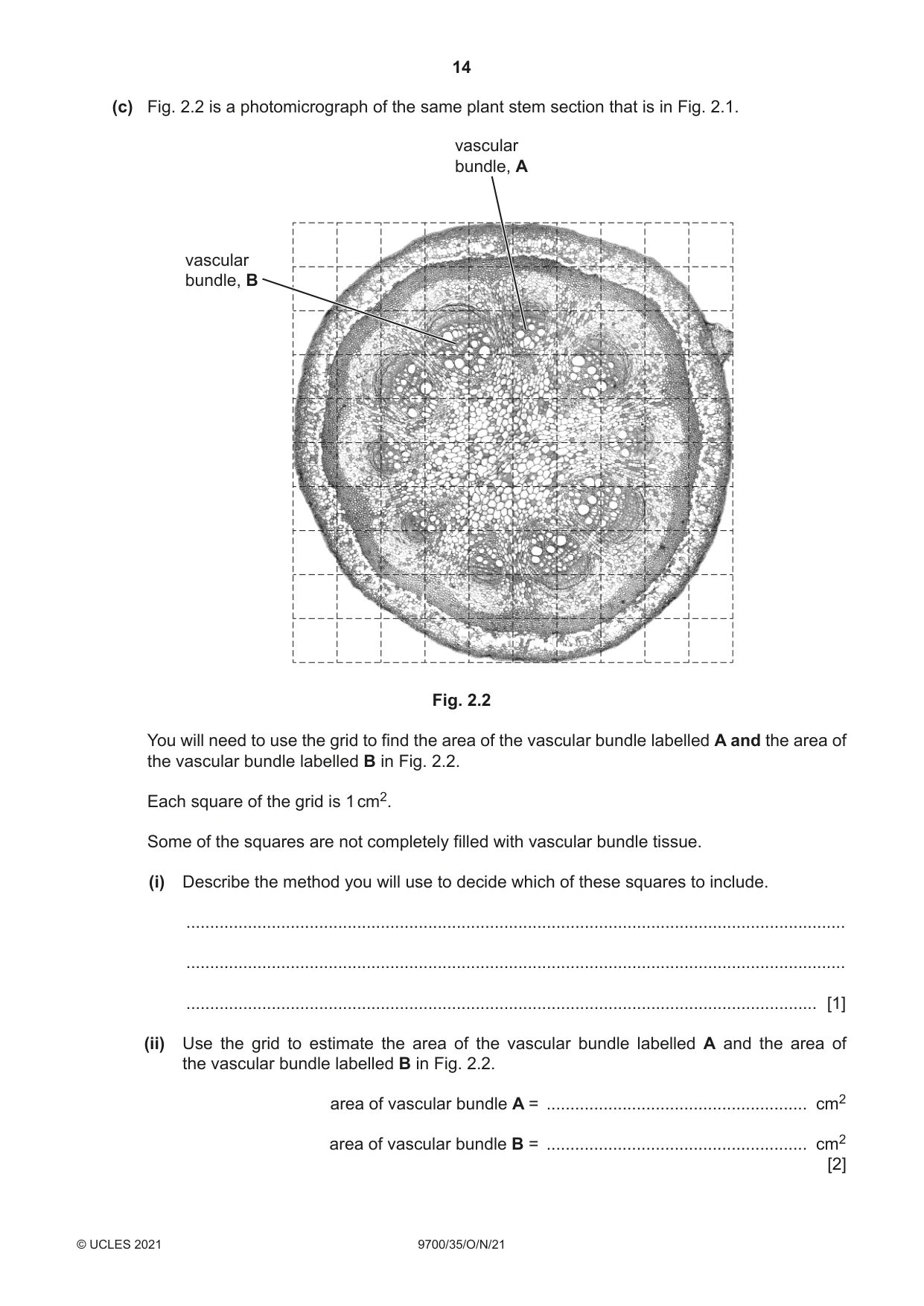 Cambridge A Level Biology 9700 2021 Oct/Nov Paper 3 · Variant 5 question paper, page 14 of 16