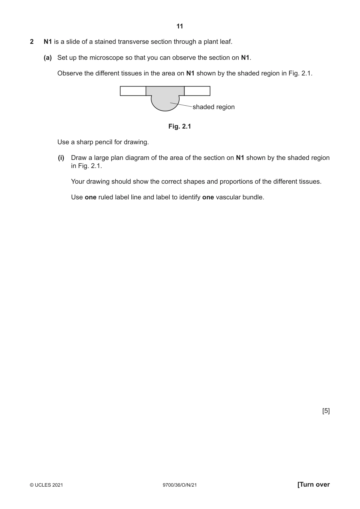 Cambridge A Level Biology 9700 2021 Oct/Nov Paper 3 · Variant 6 question paper, page 11 of 16