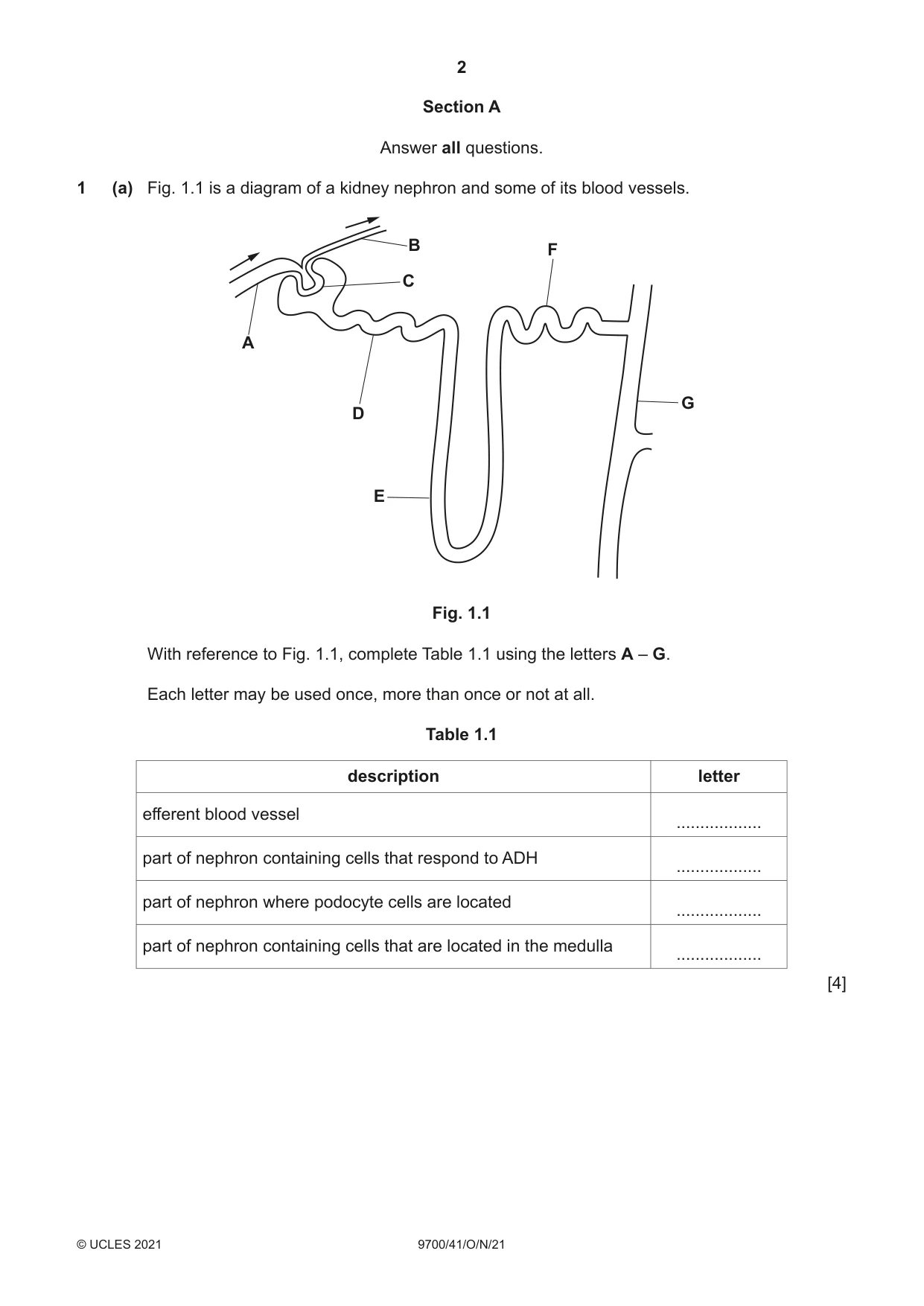 Cambridge A Level Biology 9700 2021 Oct/Nov Paper 4 · Variant 1 question paper, page 2 of 24