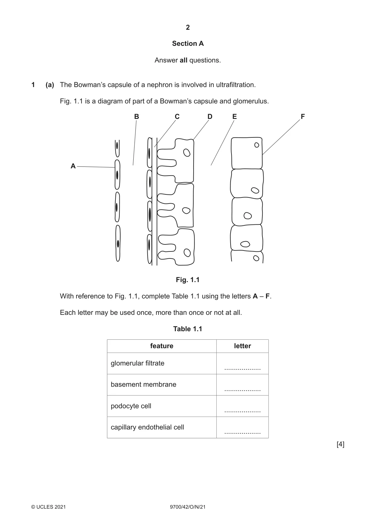 Cambridge A Level Biology 9700 2021 Oct/Nov Paper 4 · Variant 2 question paper, page 2 of 28