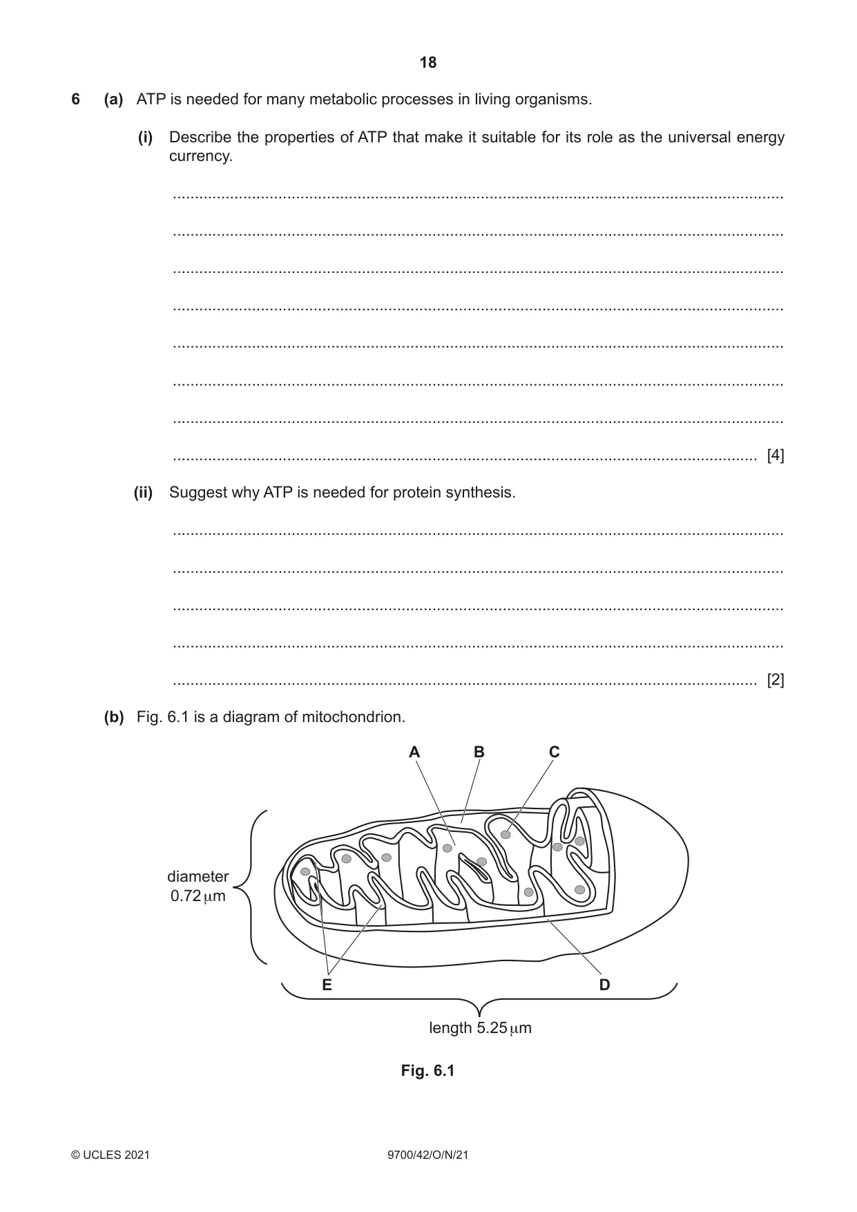 Cambridge A Level Biology 9700 2021 Oct/Nov Paper 4 · Variant 2 question paper, page 18 of 28