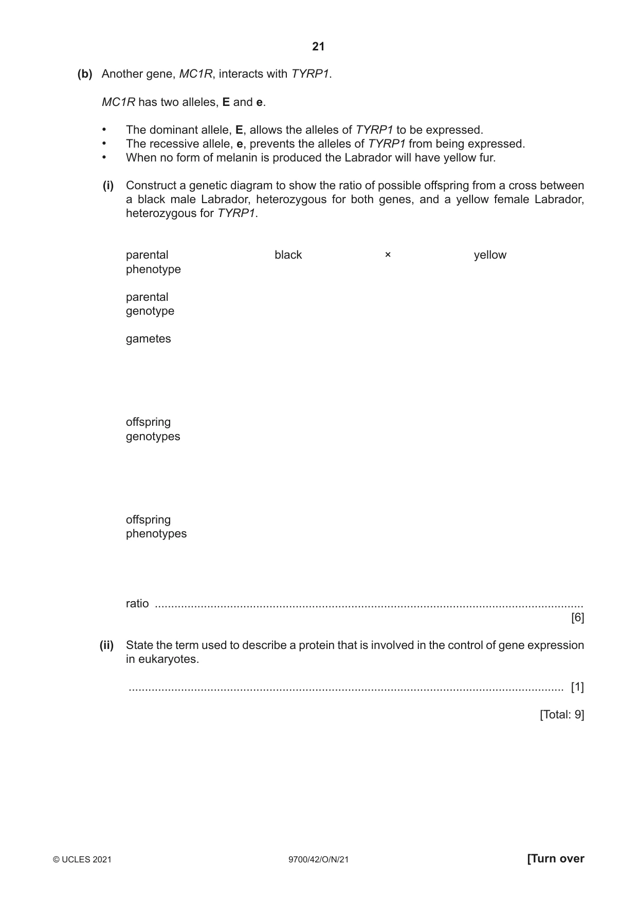Cambridge A Level Biology 9700 2021 Oct/Nov Paper 4 · Variant 2 question paper, page 21 of 28