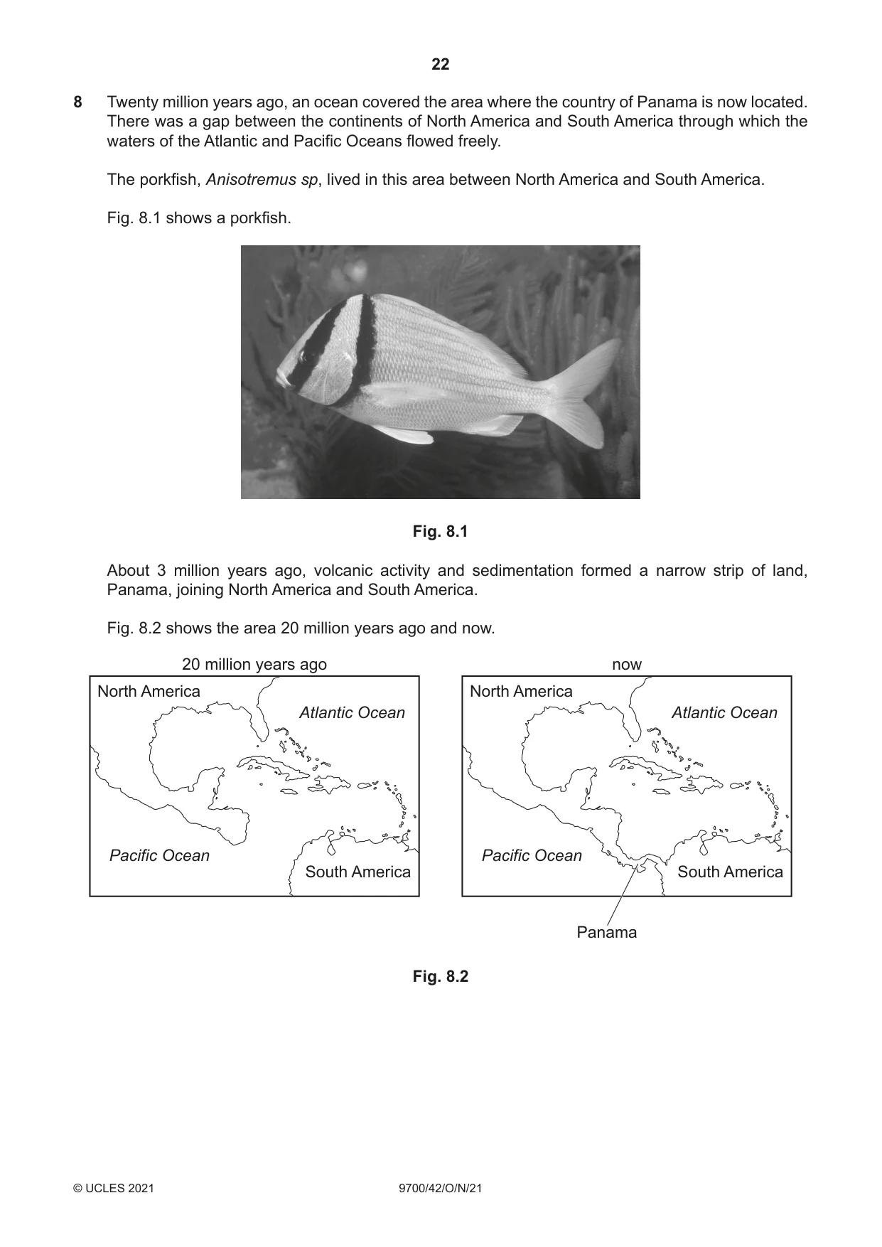 Cambridge A Level Biology 9700 2021 Oct/Nov Paper 4 · Variant 2 question paper, page 22 of 28