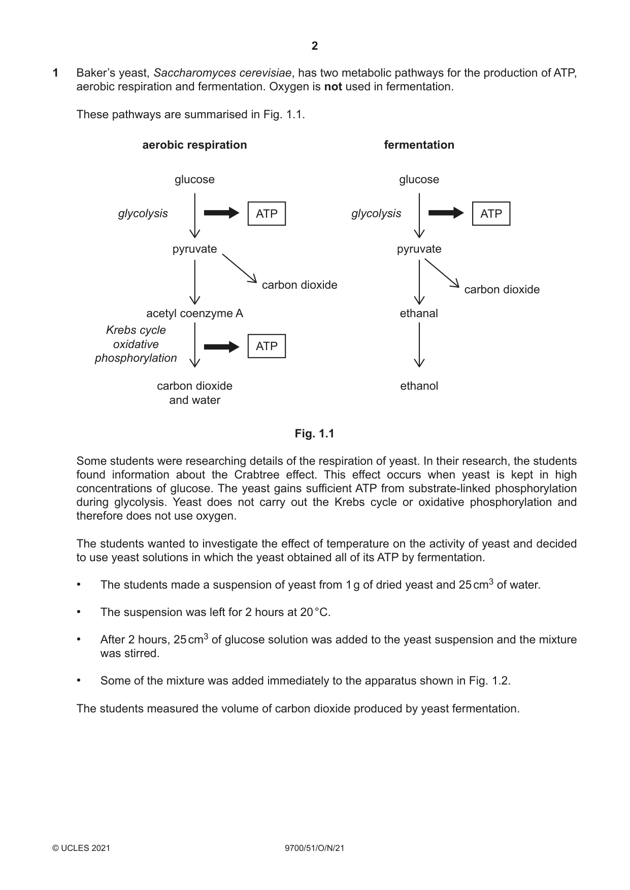 Cambridge A Level Biology 9700 2021 Oct/Nov Paper 5 · Variant 1 question paper, page 2 of 12