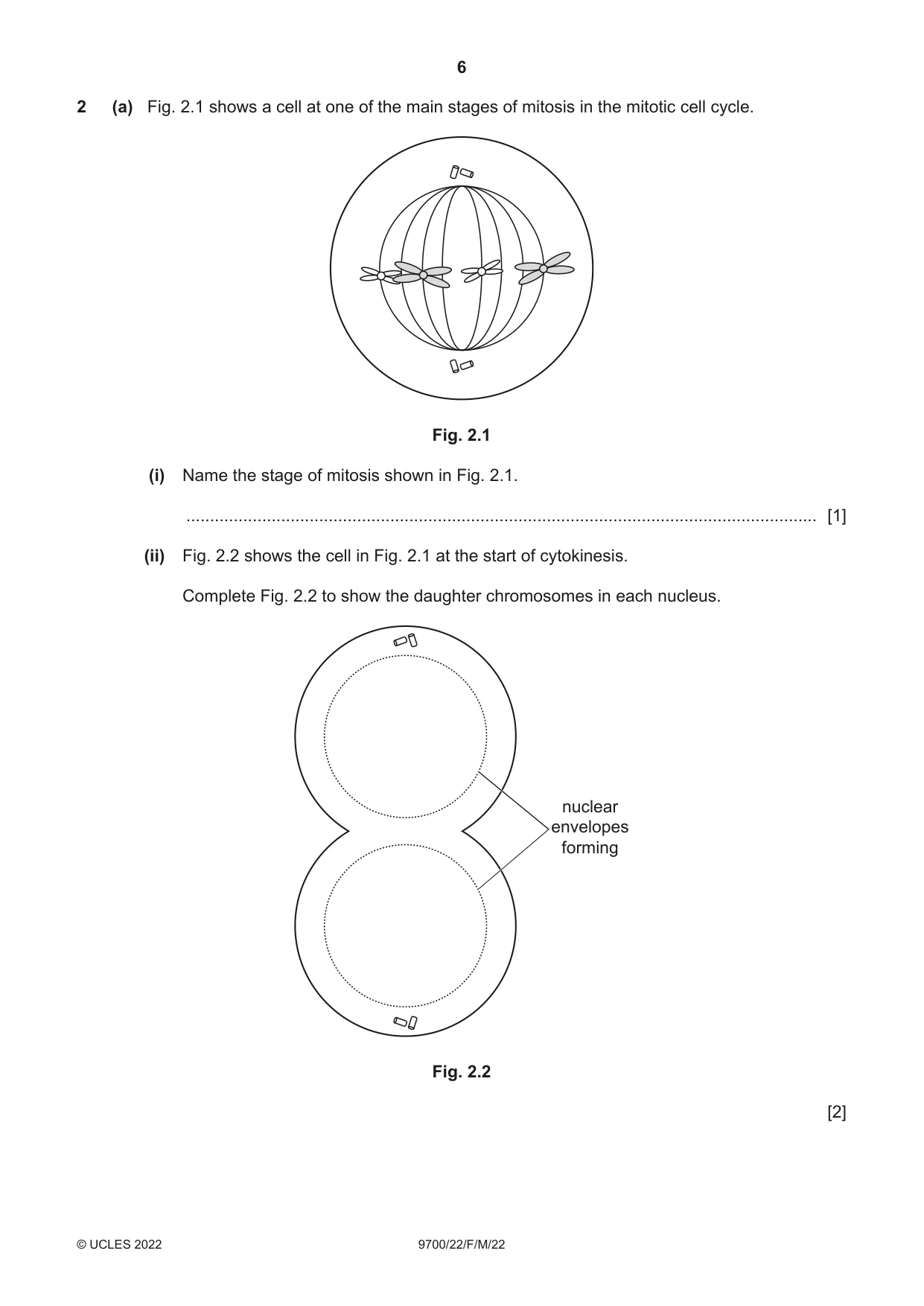 Cambridge A Level Biology 9700 2022 Feb/March Paper 2 · Variant 2 question paper, page 6 of 20