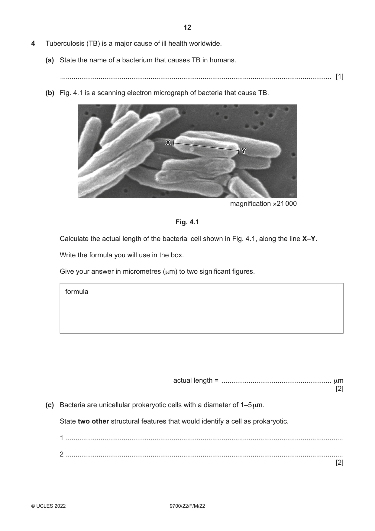 Cambridge A Level Biology 9700 2022 Feb/March Paper 2 · Variant 2 question paper, page 12 of 20