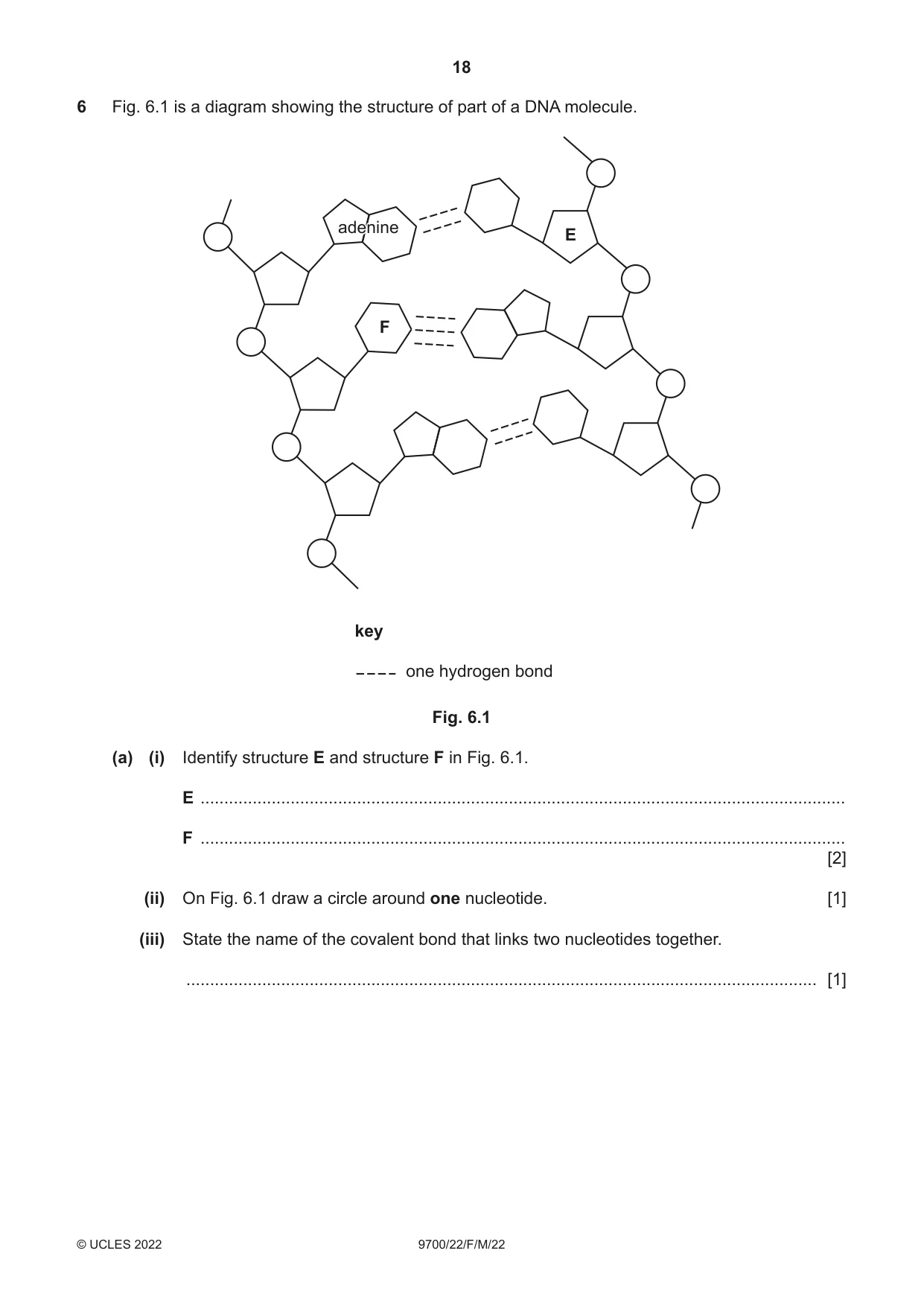 Cambridge A Level Biology 9700 2022 Feb/March Paper 2 · Variant 2 question paper, page 18 of 20