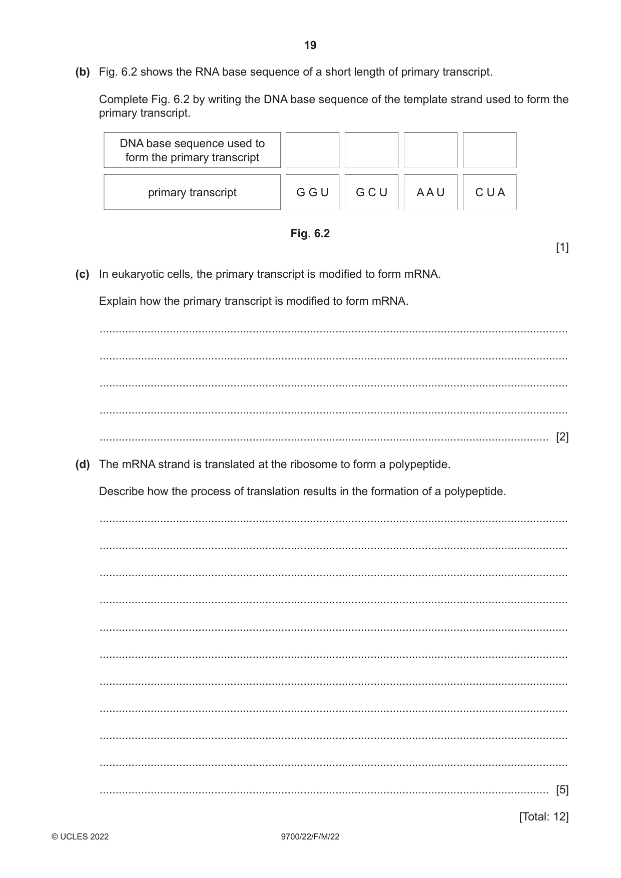 Cambridge A Level Biology 9700 2022 Feb/March Paper 2 · Variant 2 question paper, page 19 of 20