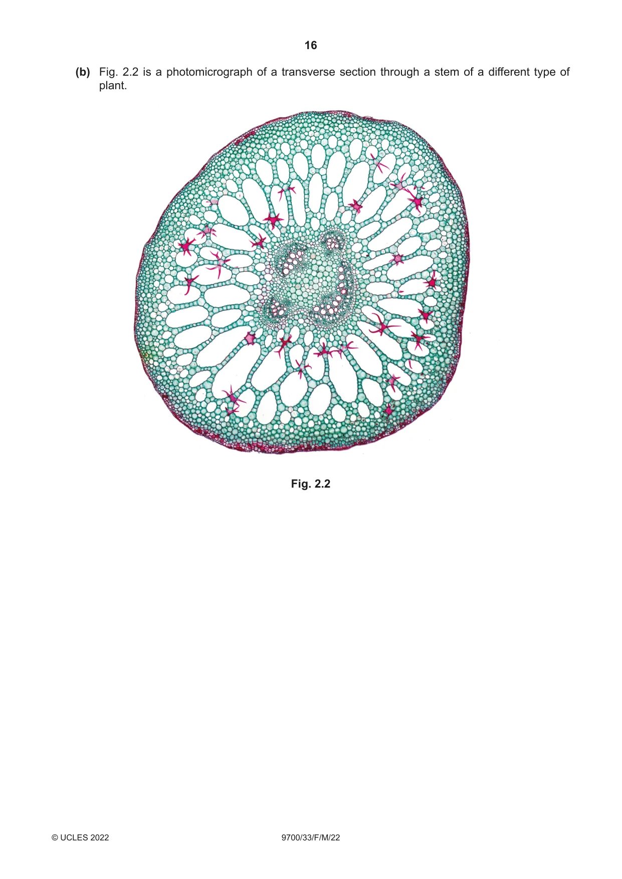 Cambridge A Level Biology 9700 2022 Feb/March Paper 3 · Variant 3 question paper, page 16 of 20