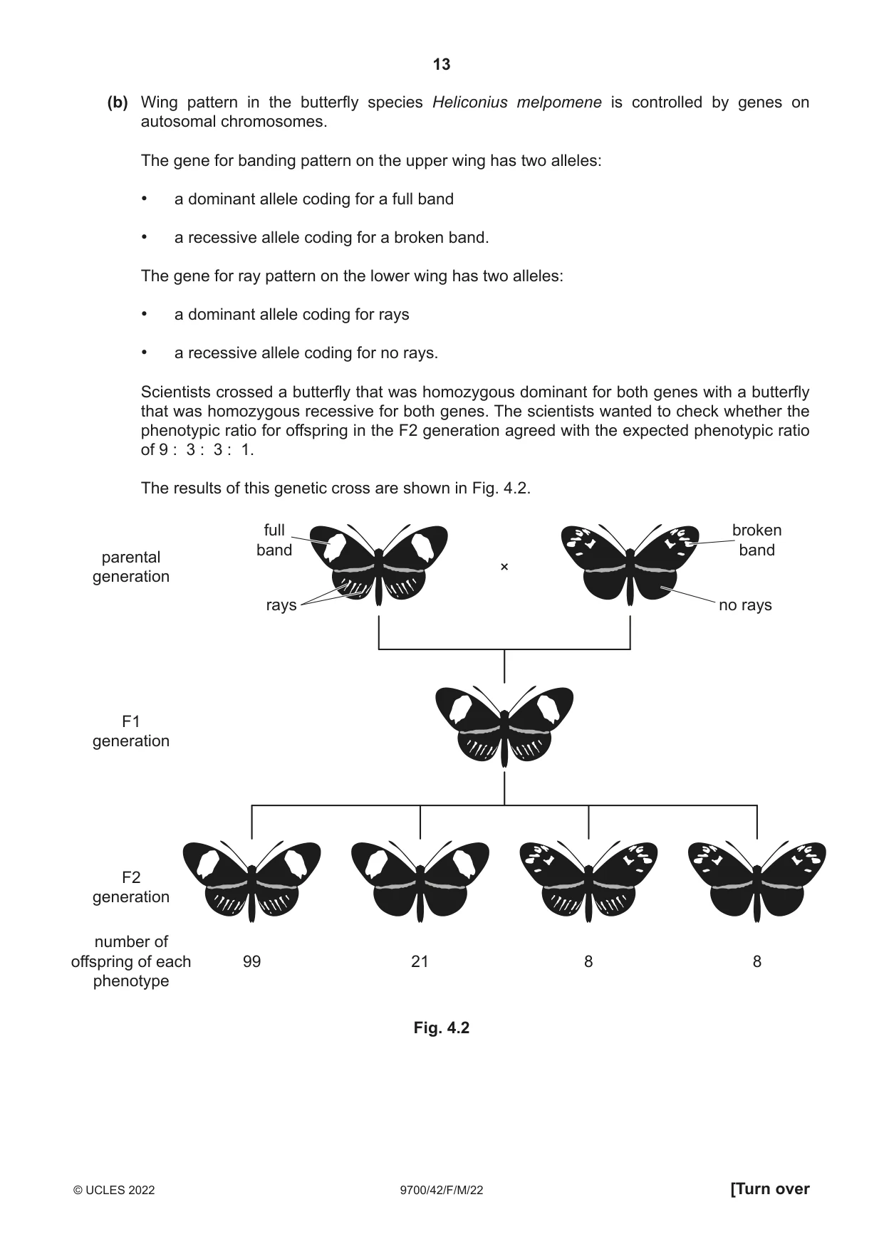 Cambridge A Level Biology 9700 2022 Feb/March Paper 4 · Variant 2 question paper, page 13 of 28