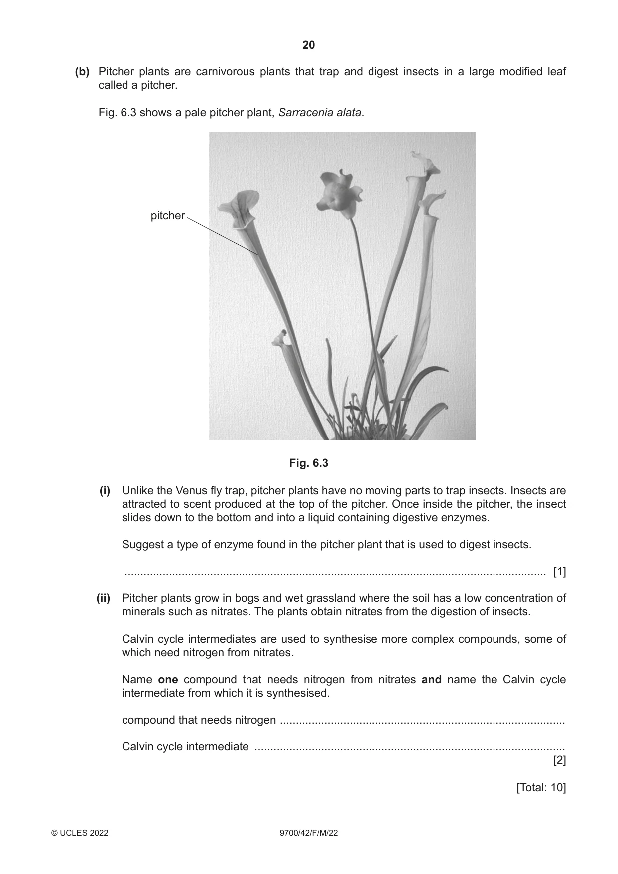 Cambridge A Level Biology 9700 2022 Feb/March Paper 4 · Variant 2 question paper, page 20 of 28