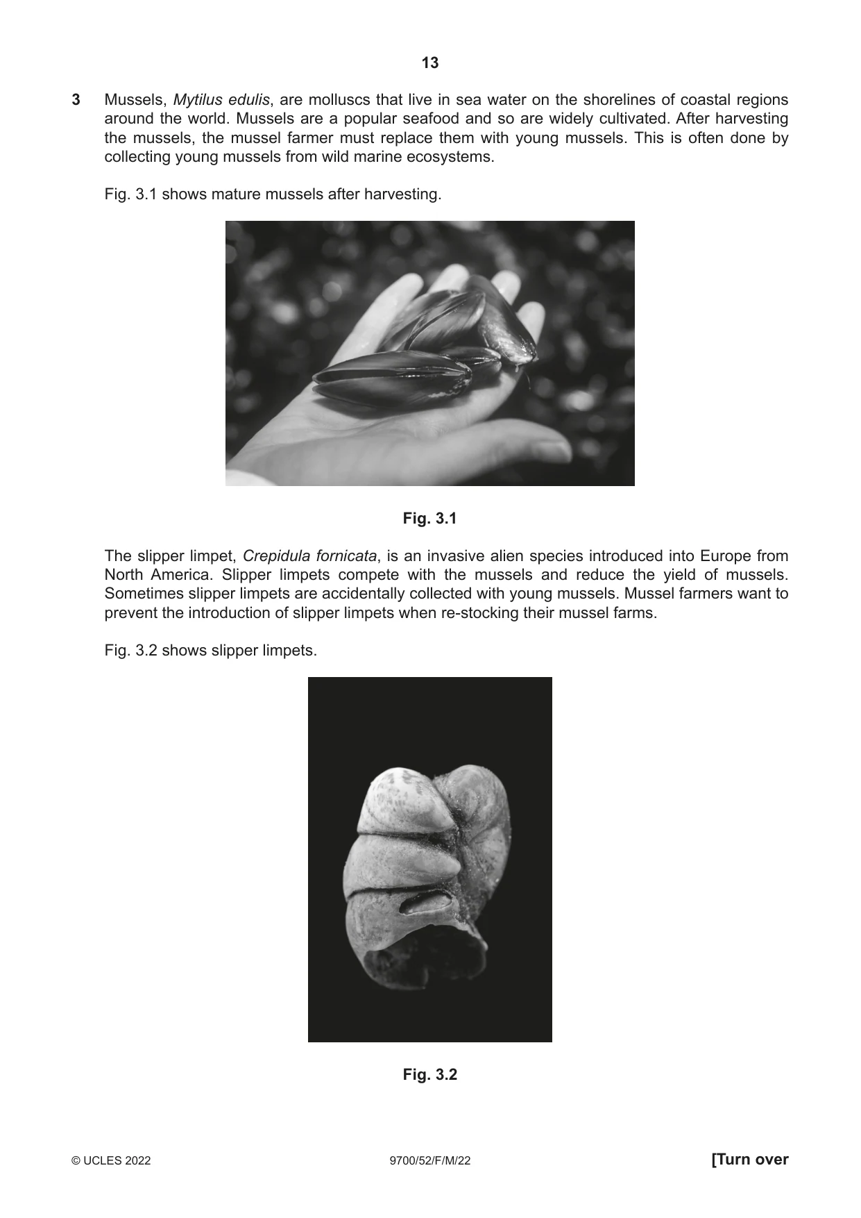 Cambridge A Level Biology 9700 2022 Feb/March Paper 5 · Variant 2 question paper, page 13 of 16
