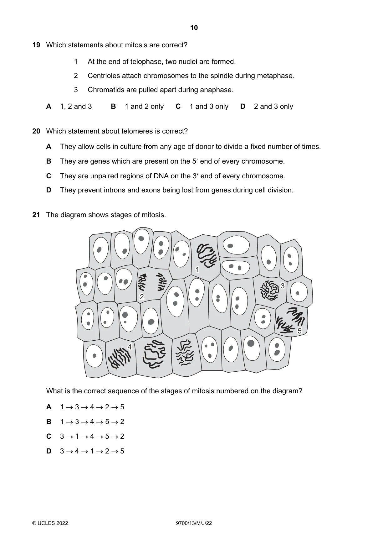 Cambridge A Level Biology 9700 2022 May/June Paper 1 · Variant 3 question paper, page 10 of 20