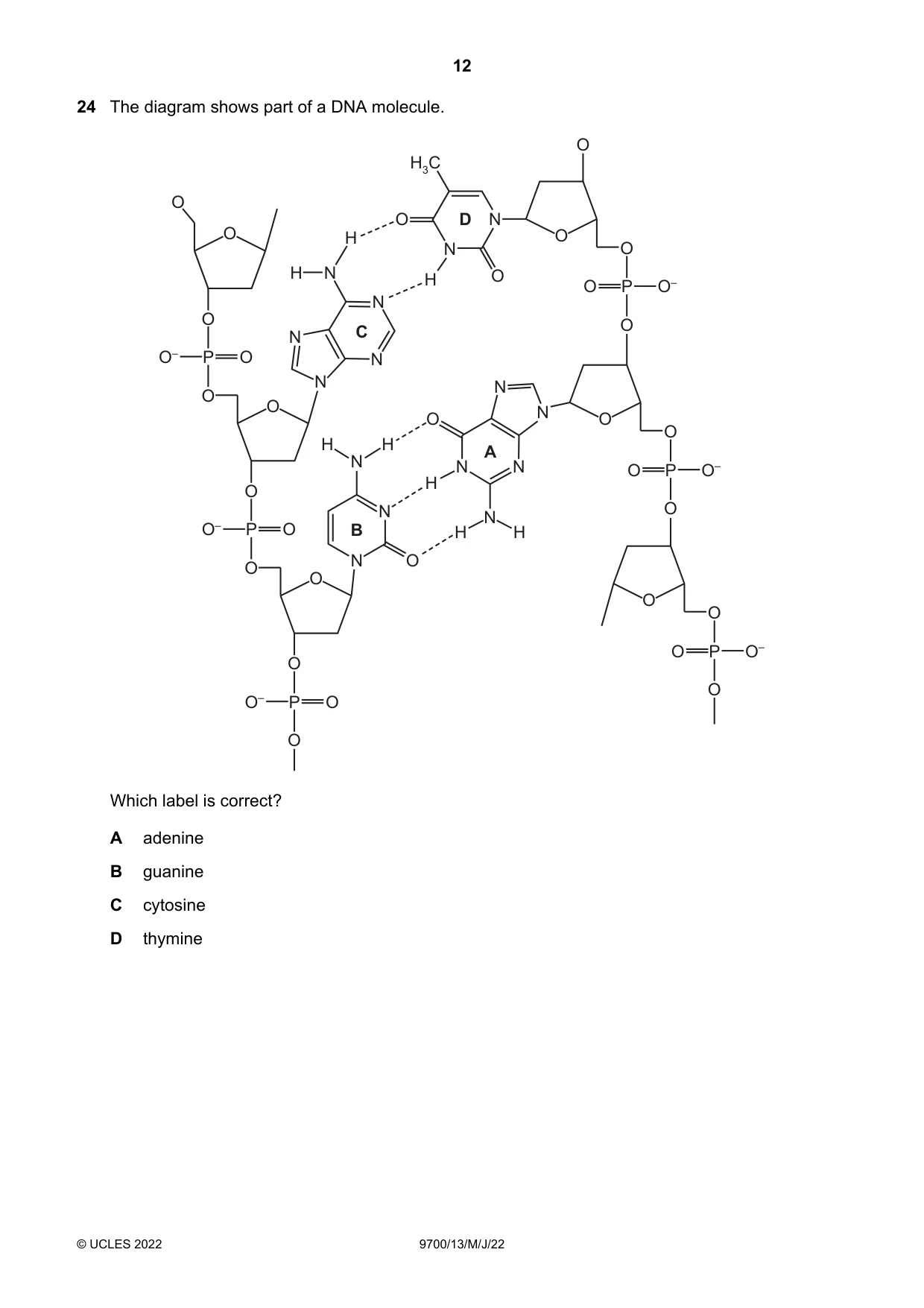 Cambridge A Level Biology 9700 2022 May/June Paper 1 · Variant 3 question paper, page 12 of 20