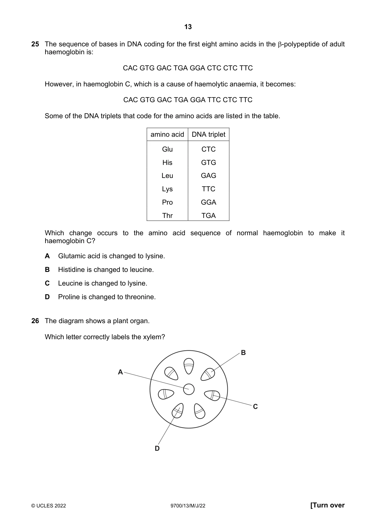 Cambridge A Level Biology 9700 2022 May/June Paper 1 · Variant 3 question paper, page 13 of 20