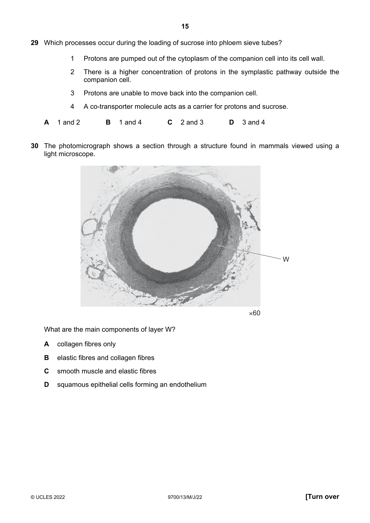 Cambridge A Level Biology 9700 2022 May/June Paper 1 · Variant 3 question paper, page 15 of 20