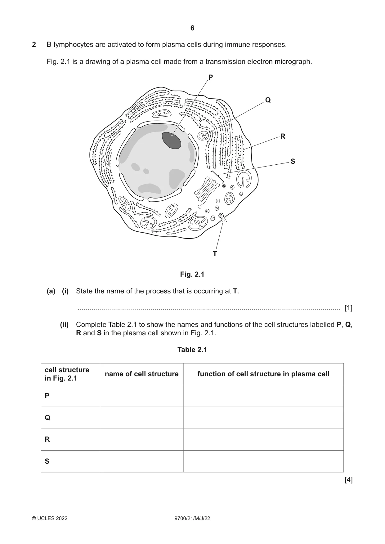 Cambridge A Level Biology 9700 2022 May/June Paper 2 · Variant 1 question paper, page 6 of 20
