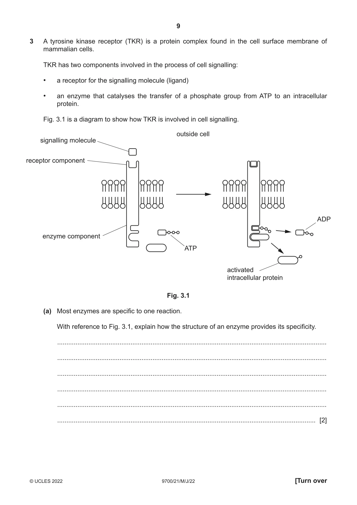 Cambridge A Level Biology 9700 2022 May/June Paper 2 · Variant 1 question paper, page 9 of 20