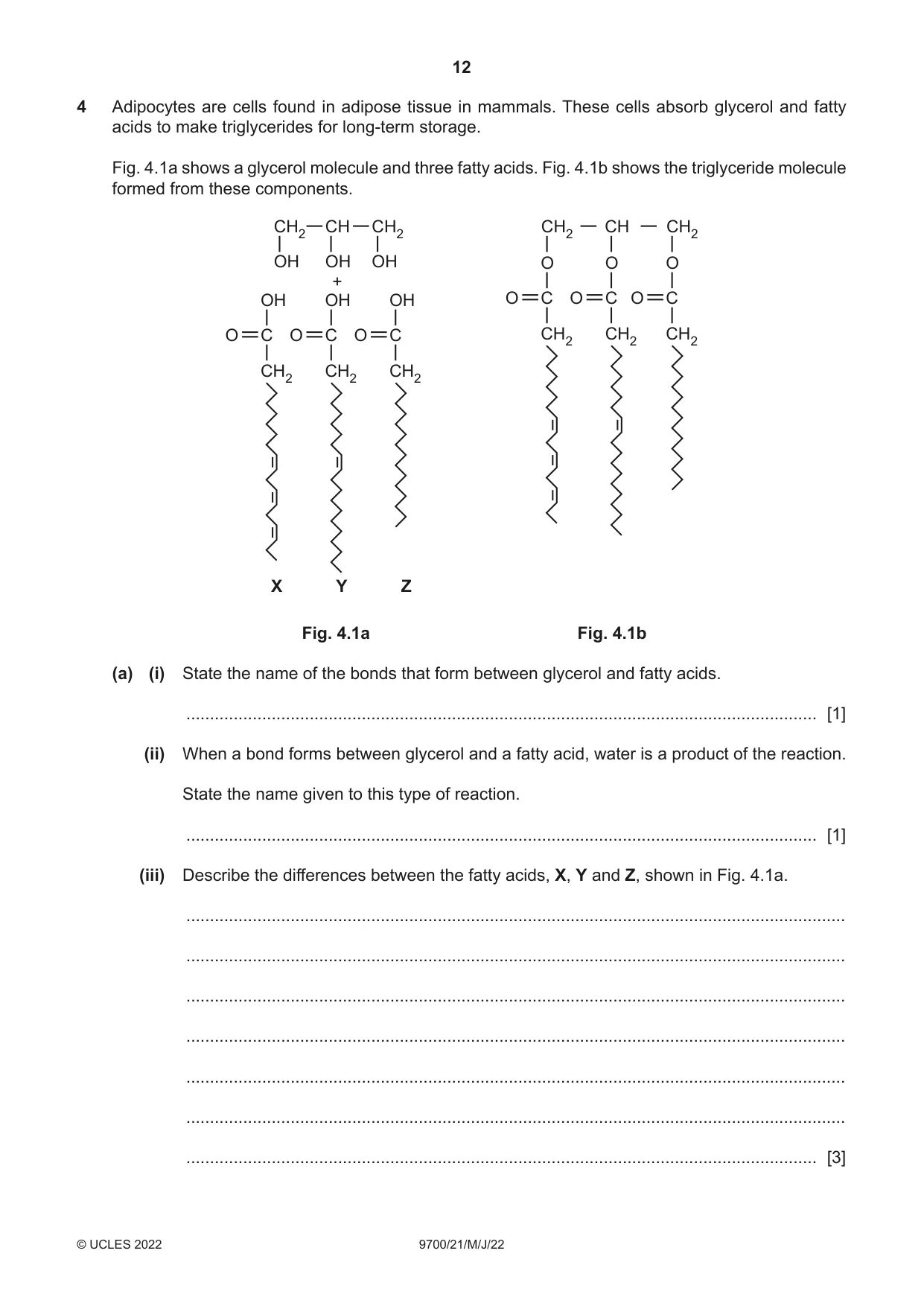 Cambridge A Level Biology 9700 2022 May/June Paper 2 · Variant 1 question paper, page 12 of 20